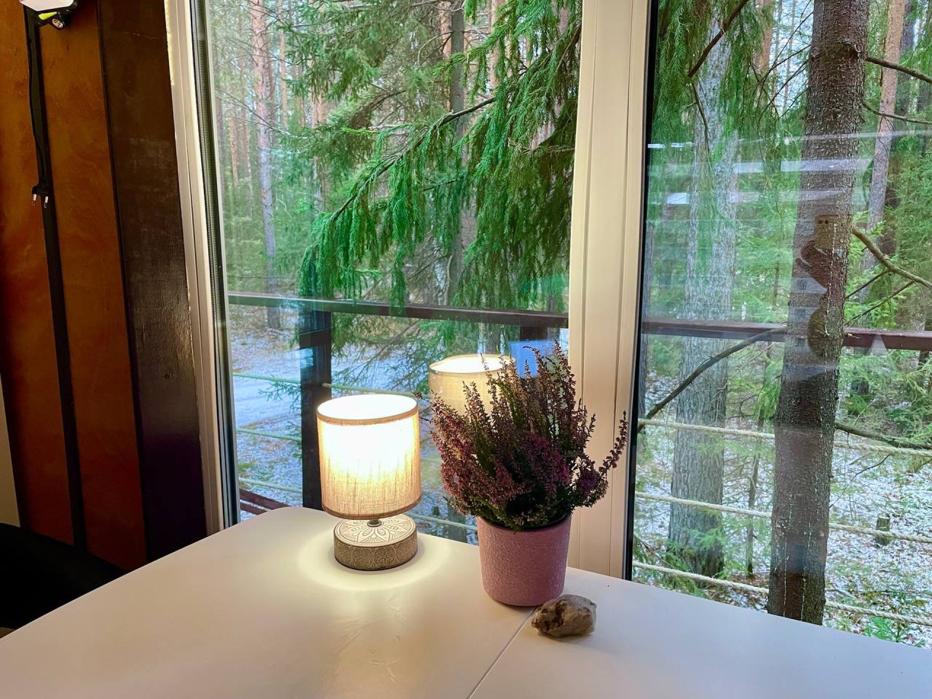 Парящий дом среди елей - Дом панды