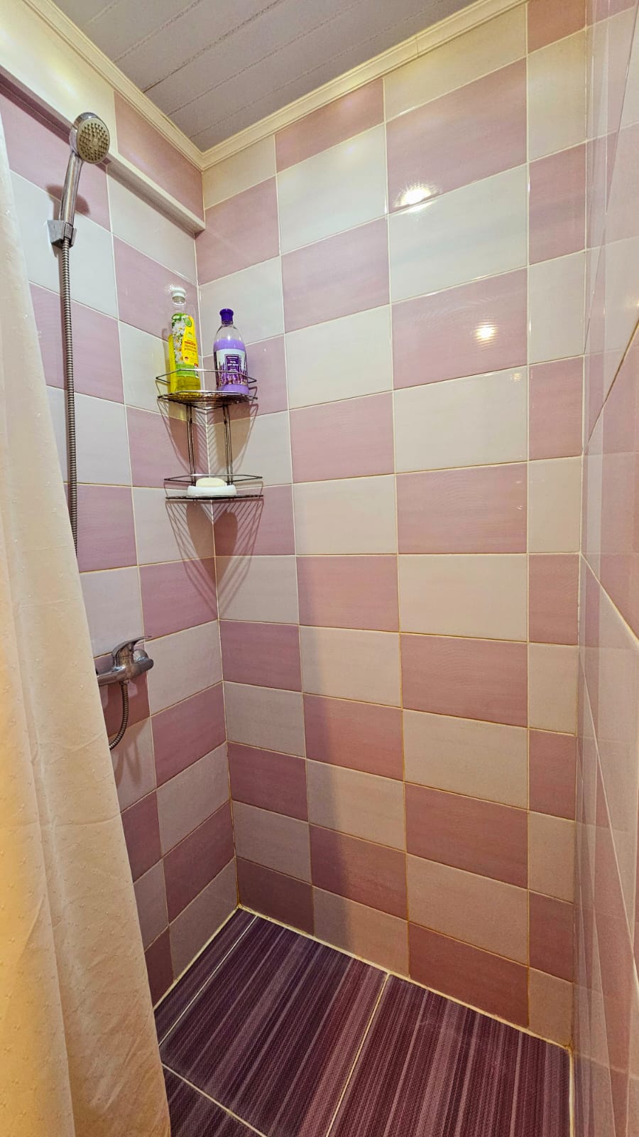 Семейный номер с душем