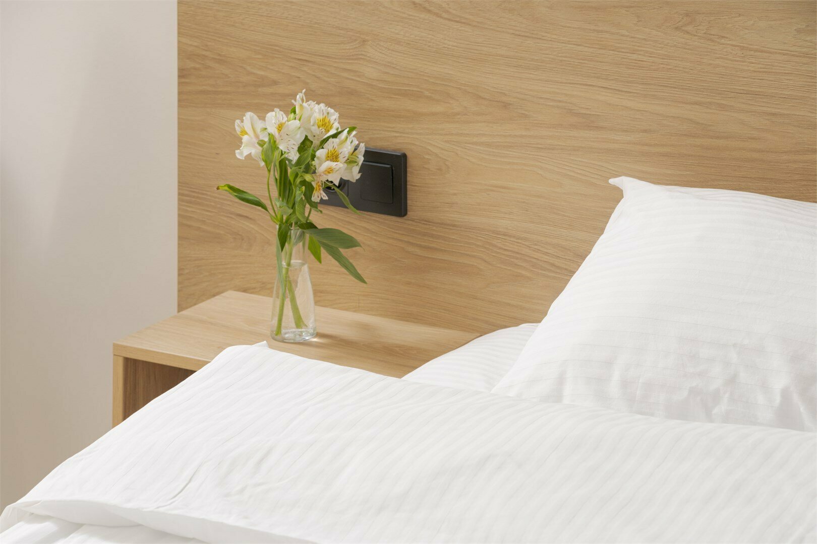 Стандарт без балкона (цокольный этаж)/Standart without balcony