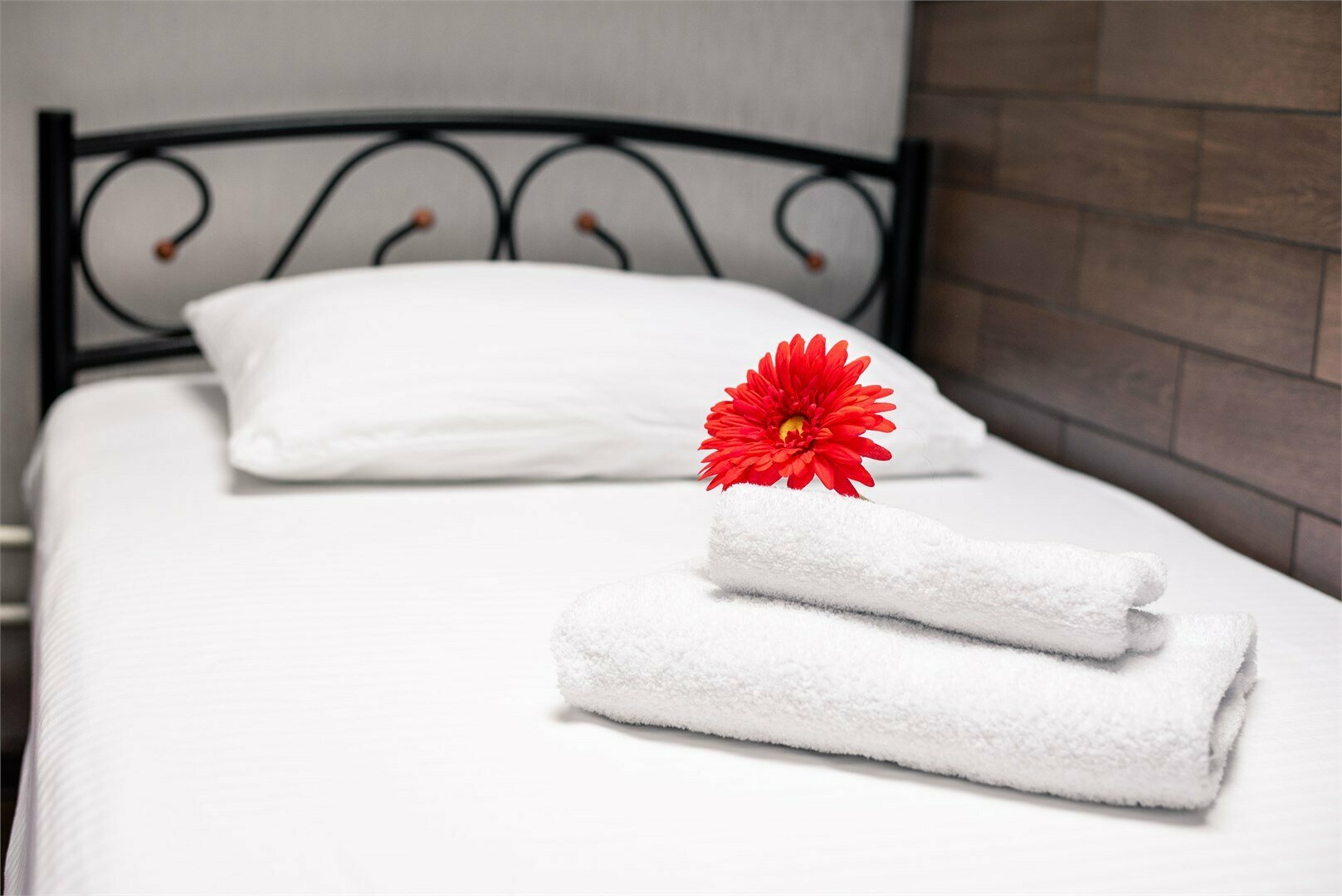 Одноместный номер эконом класса (5 этаж без лифта)