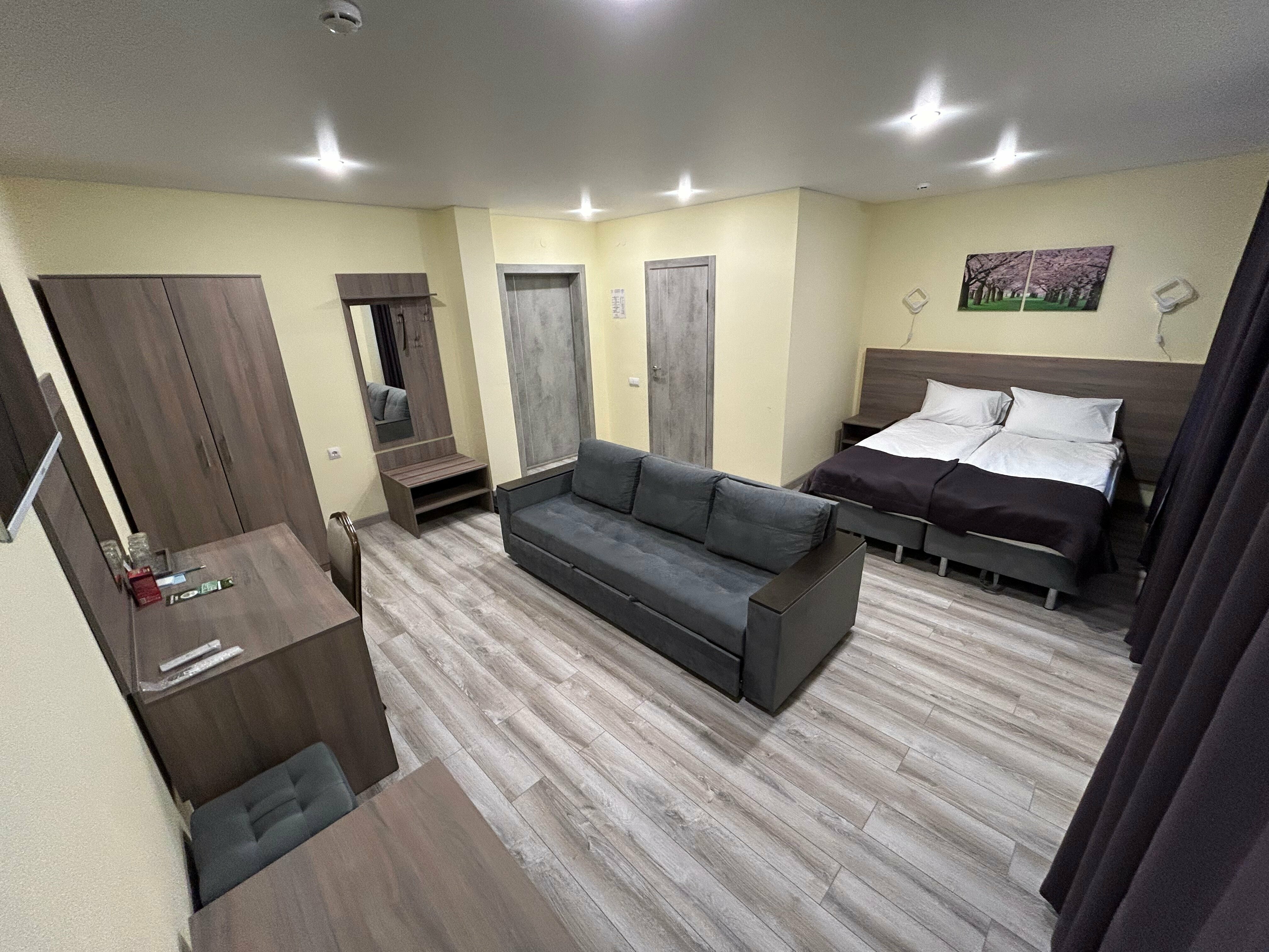 Номер-студия с кроватью размера "king-size" и диван-кроватью