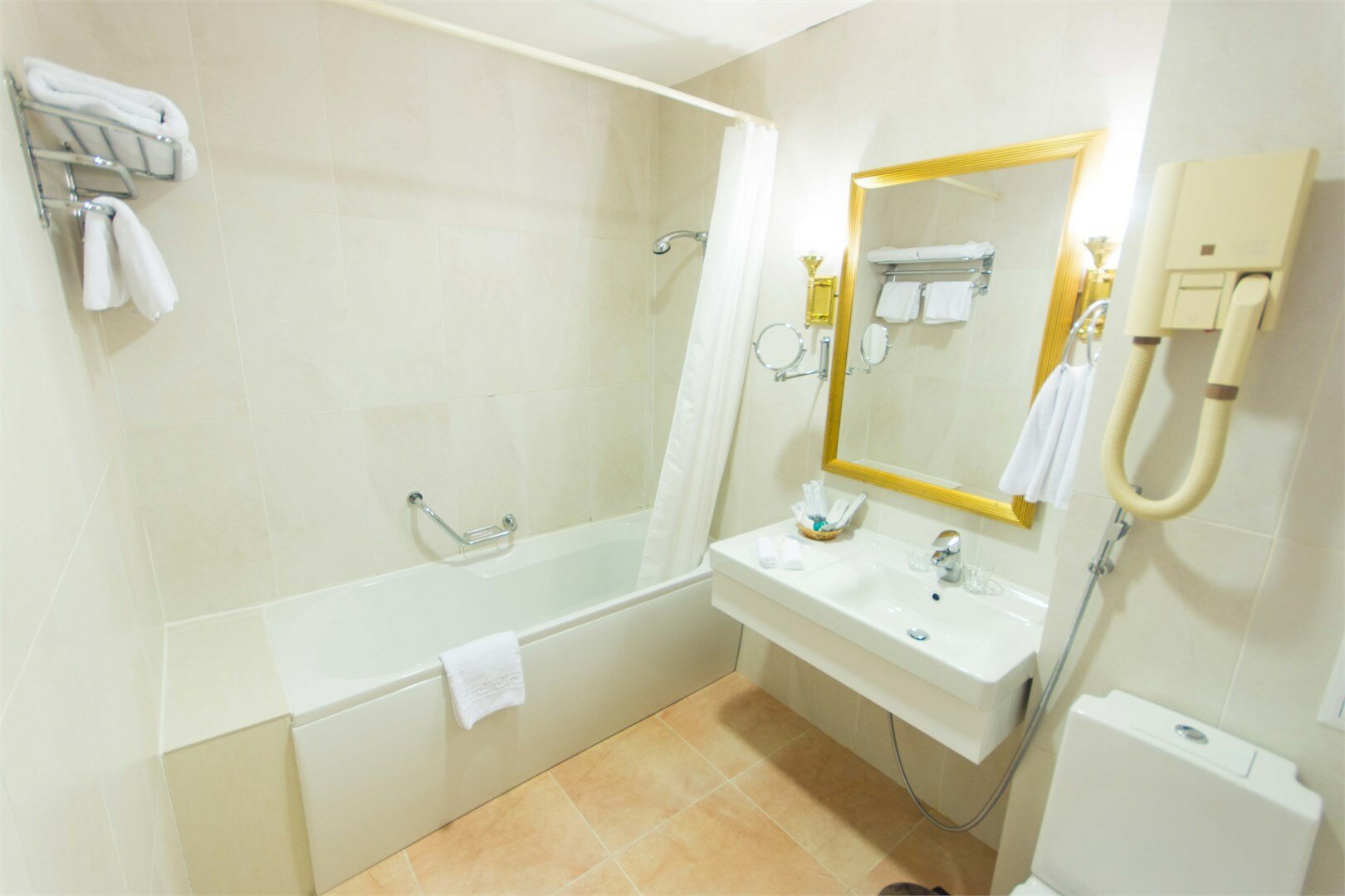 Сюит 1(Представительский семейный номер)