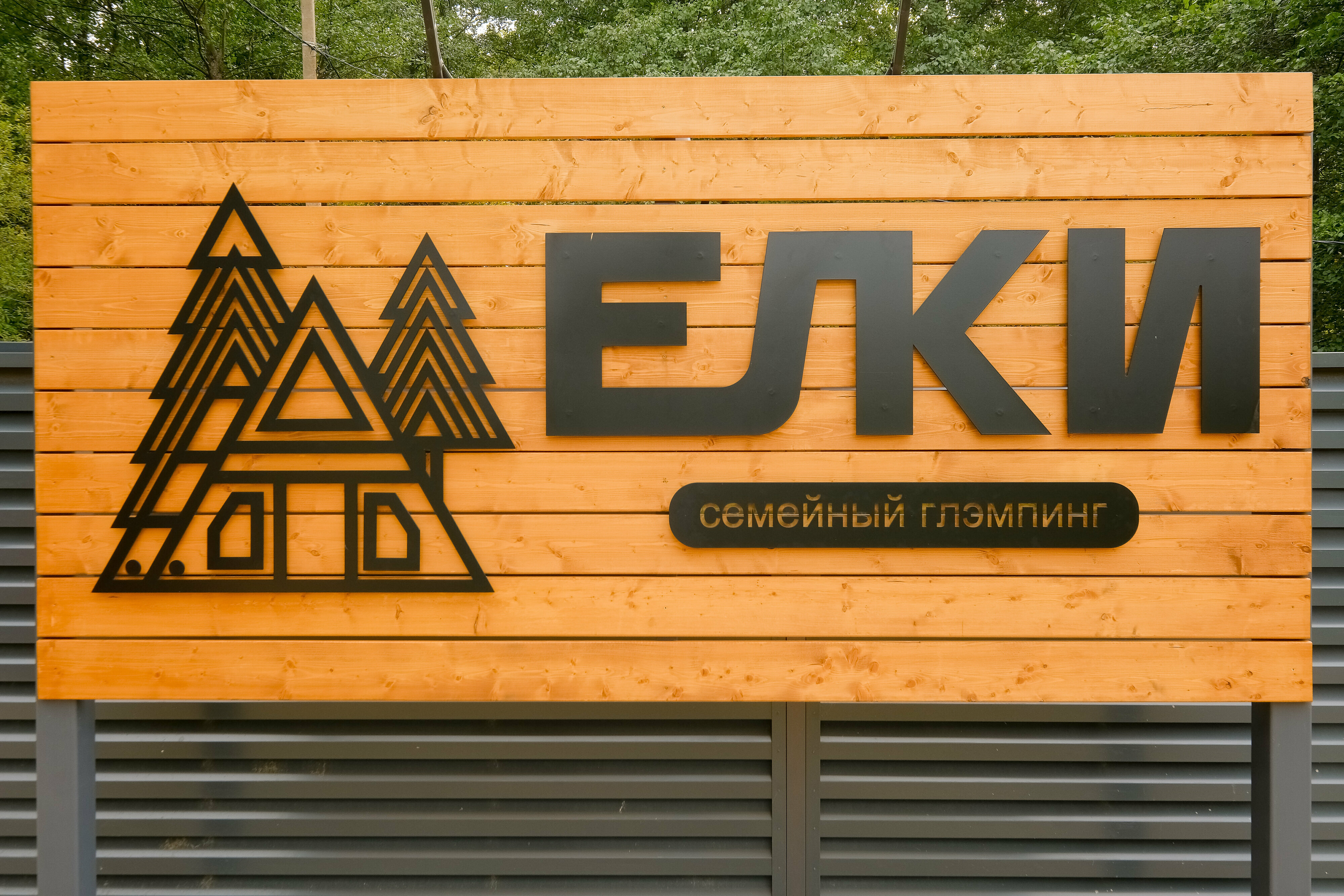 Дом с видом на лес