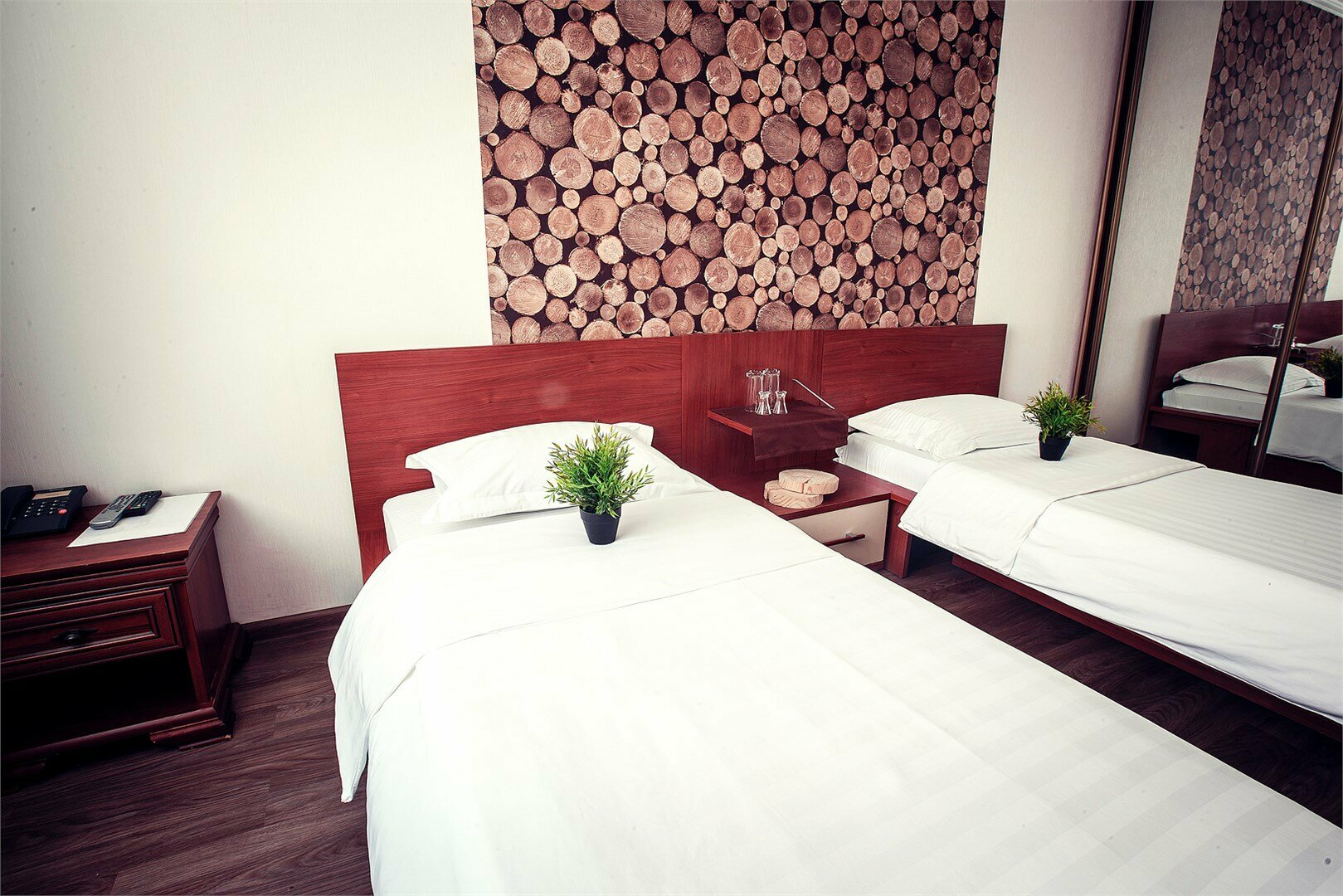 «Стандарт» twin