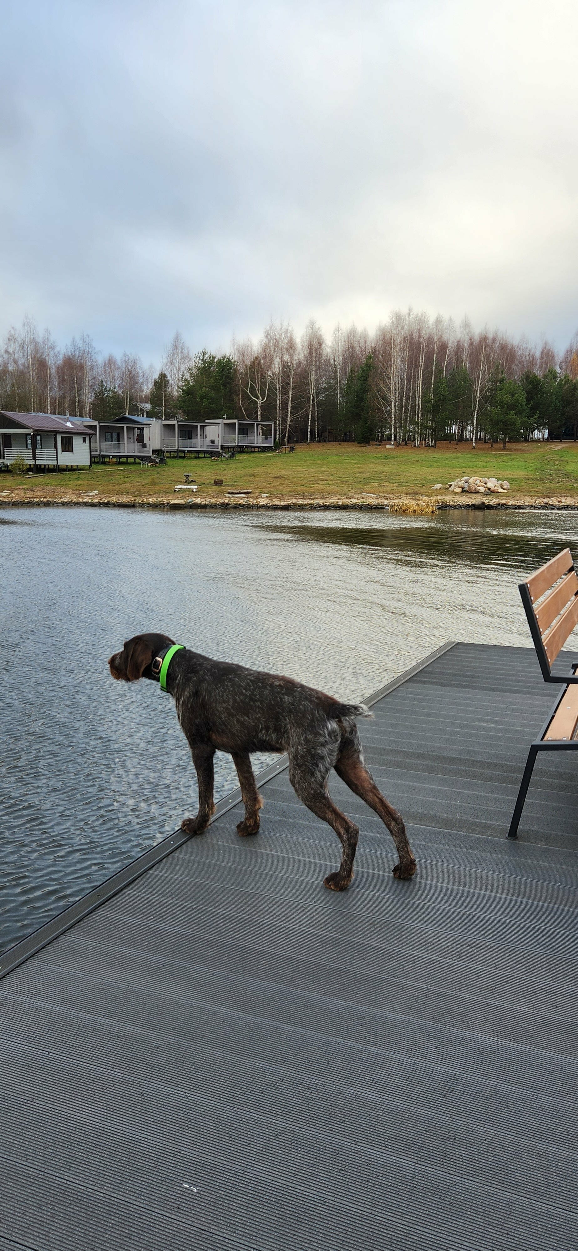 Номер-студия с террасой