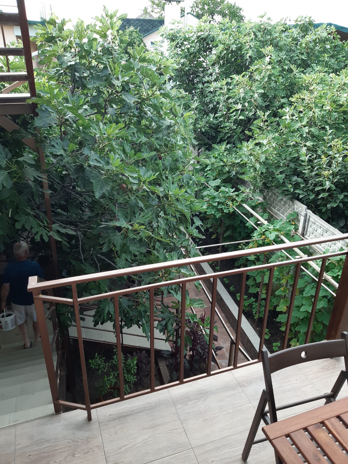 Двухместный номер с 2 отдельными кроватями и душем