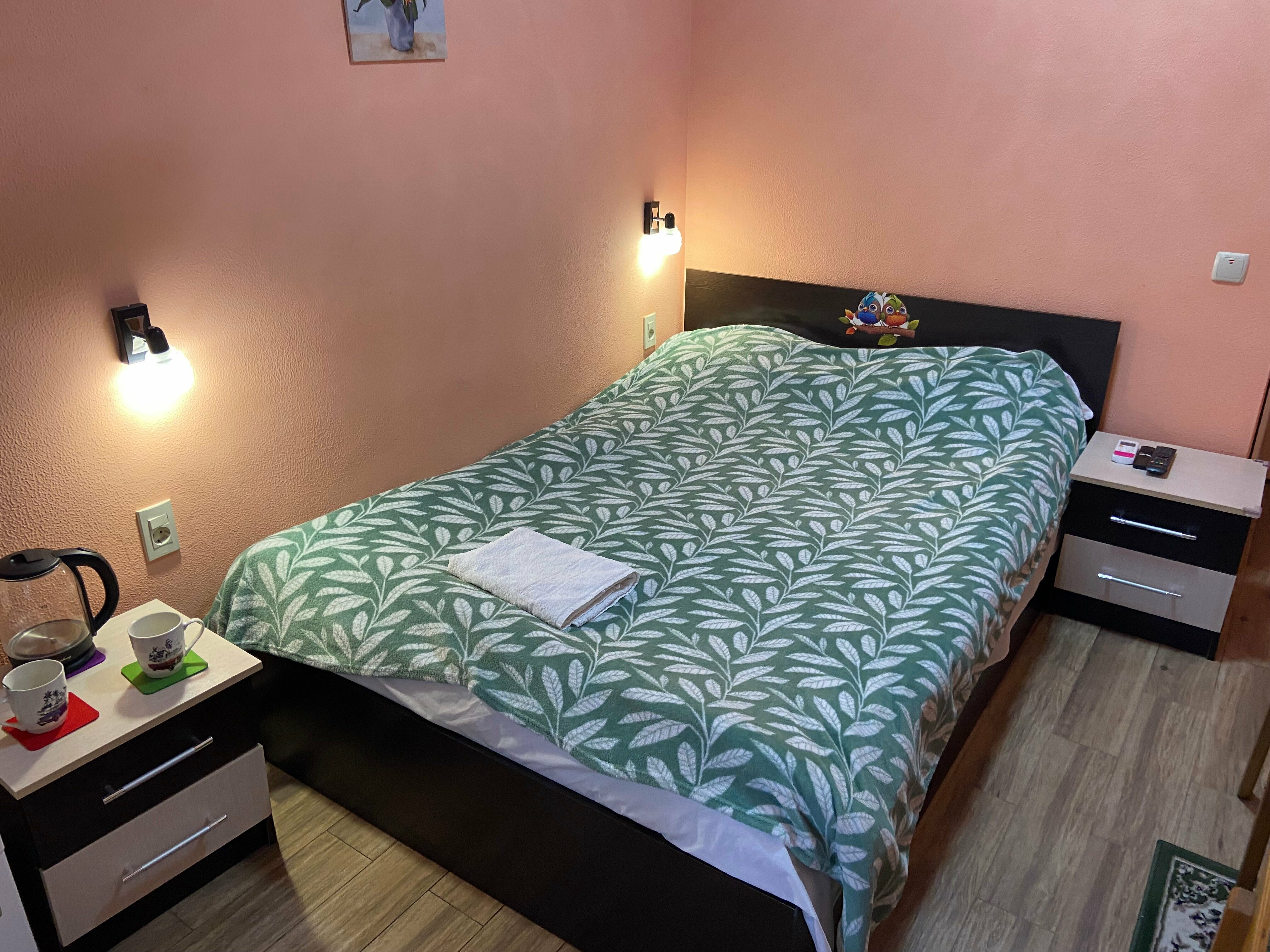 Стандартный двухместный номер с 1 кроватью