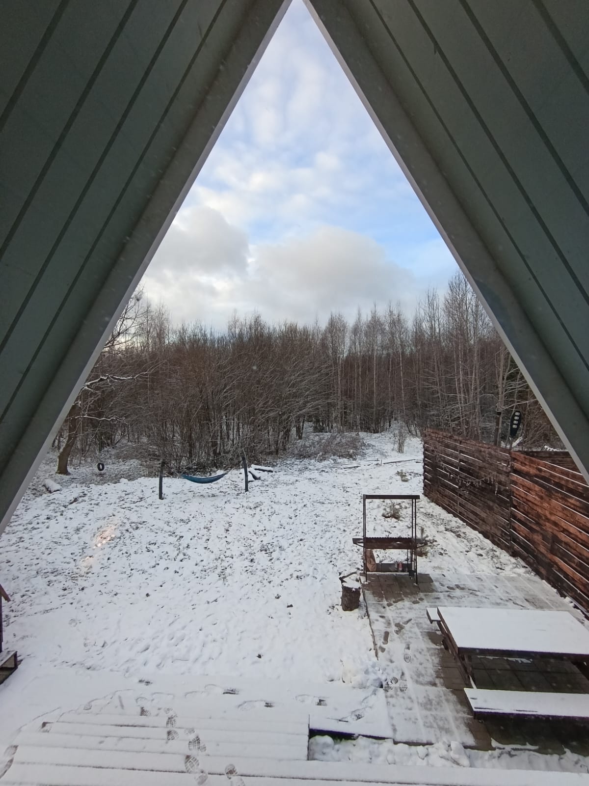 Дом с видом на лес