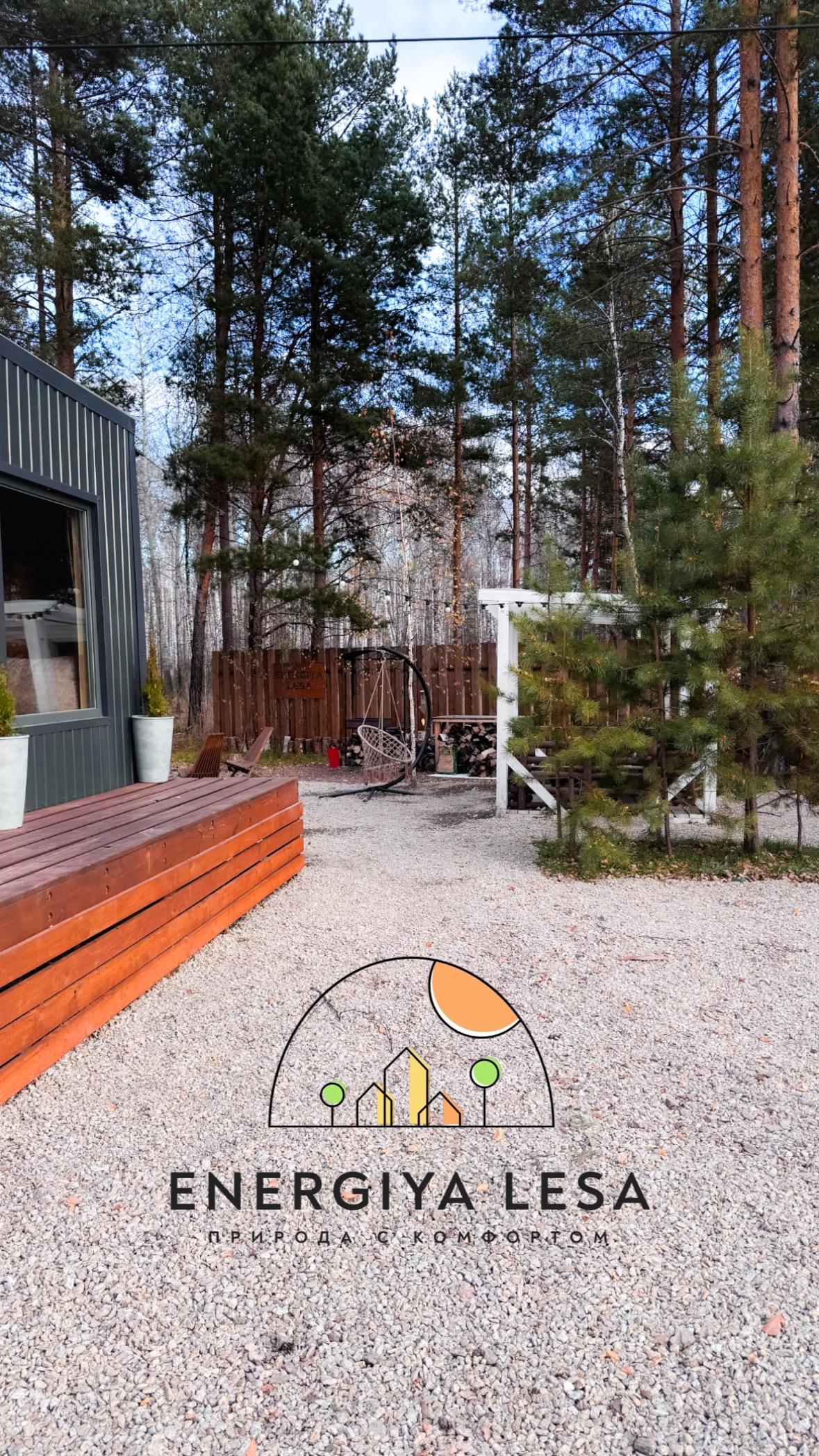 Дом с видом на лес