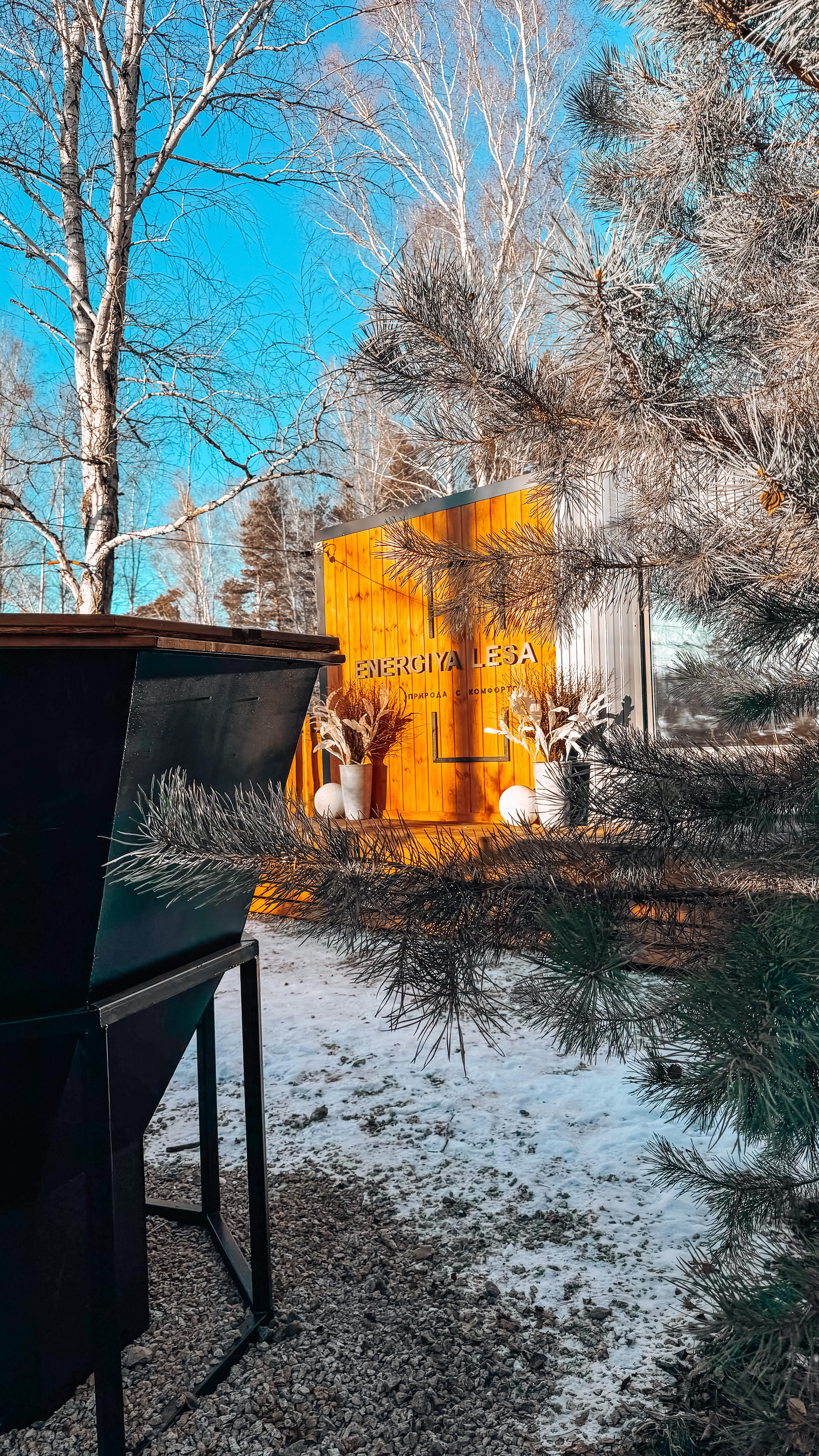 Дом с видом на лес