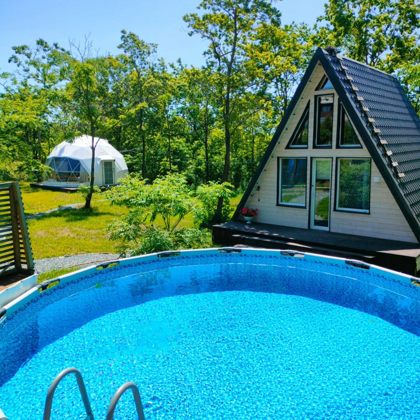 Дом с видом на лес