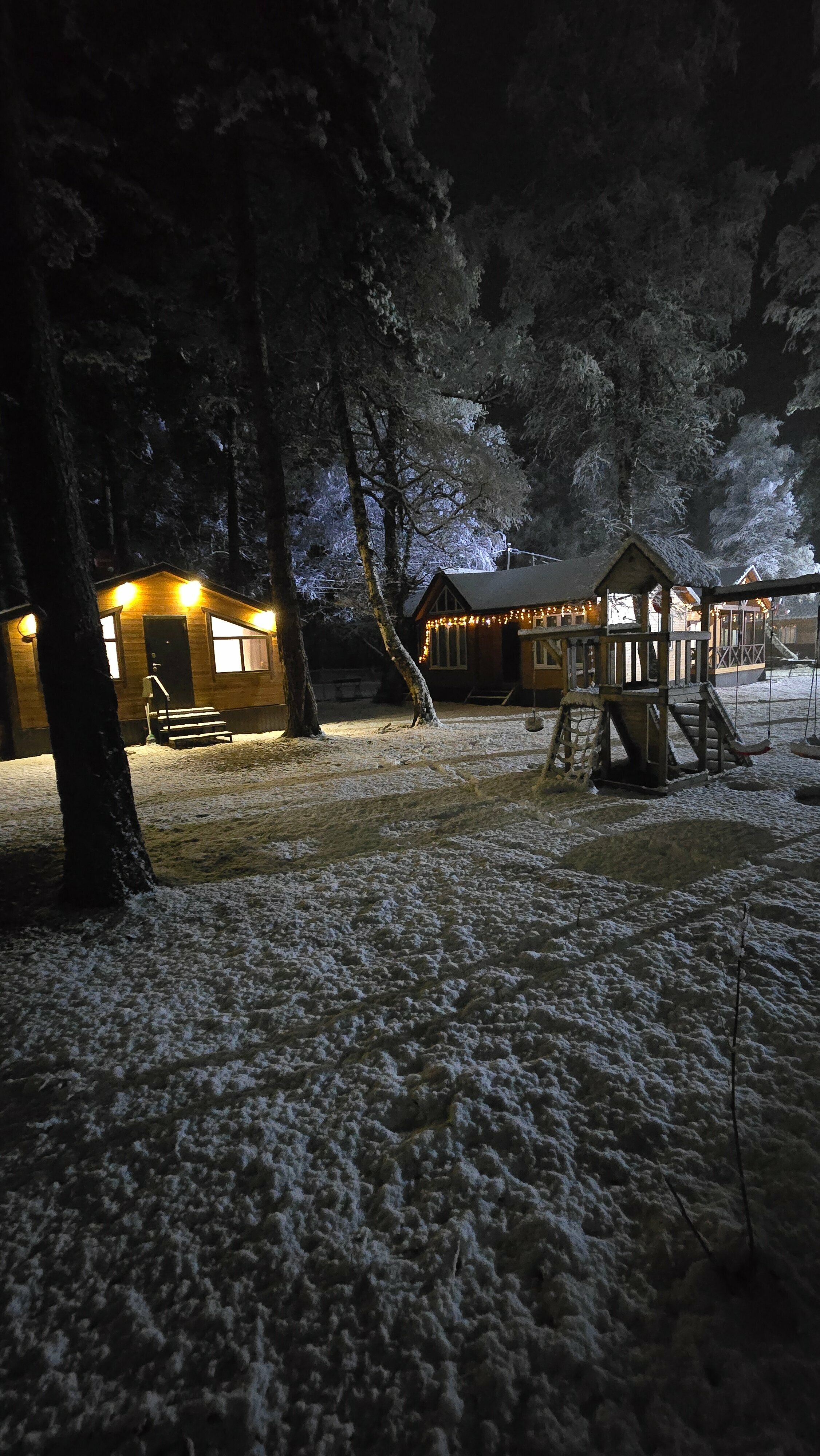 Коттедж с видом на лес