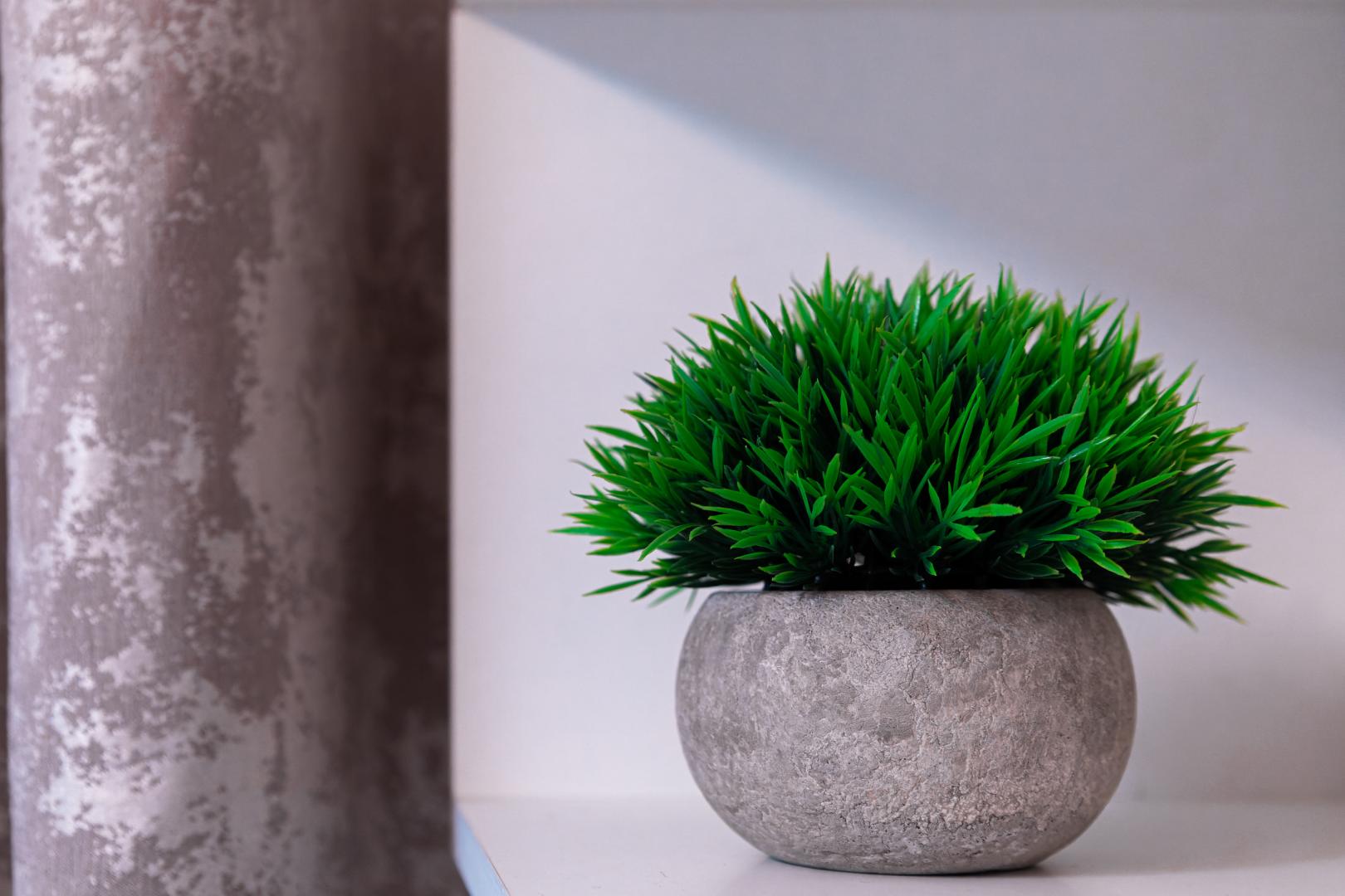 Стандартный двухместный номер с 1 кроватью