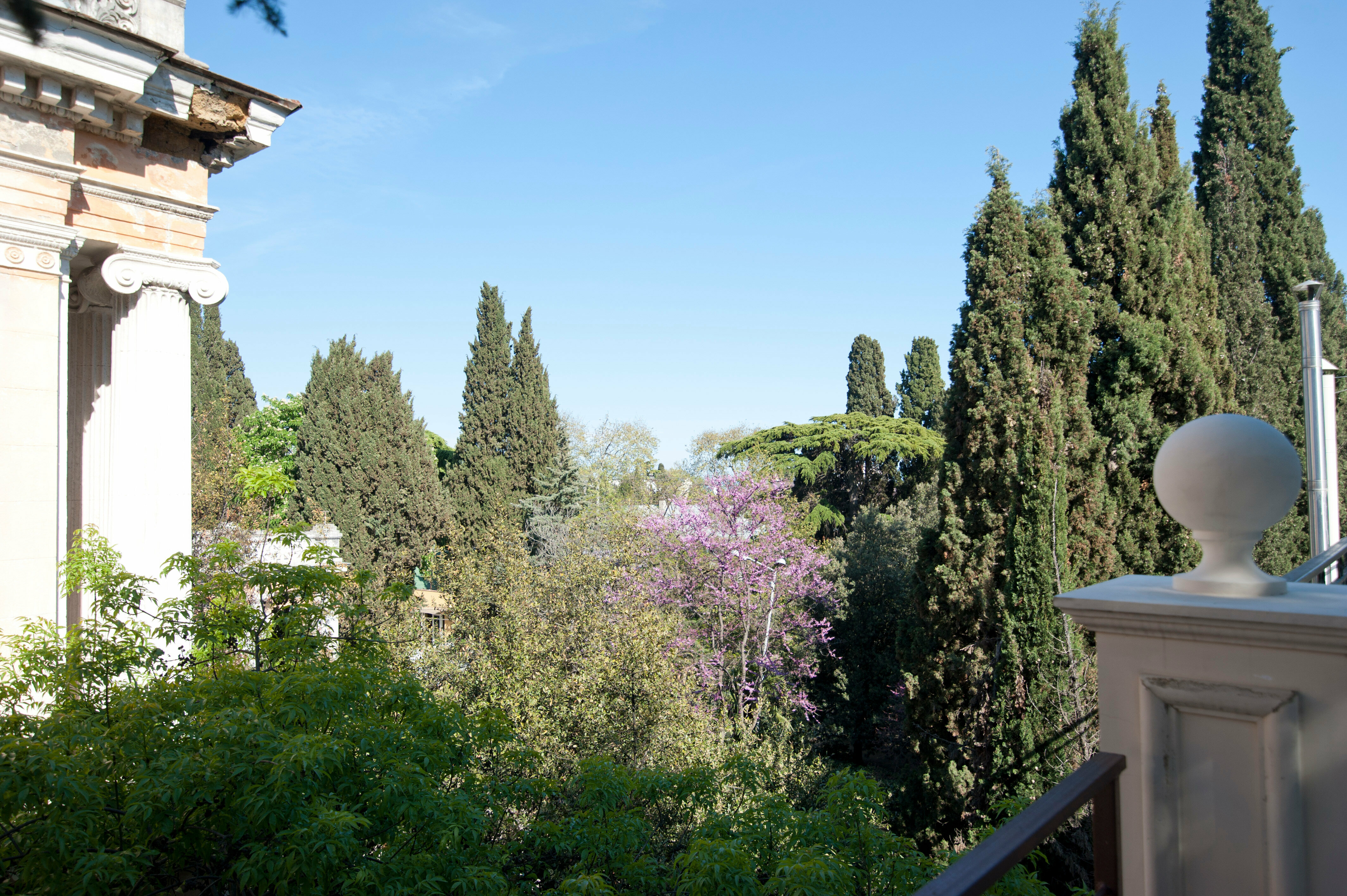 Апартаменты Делюкс