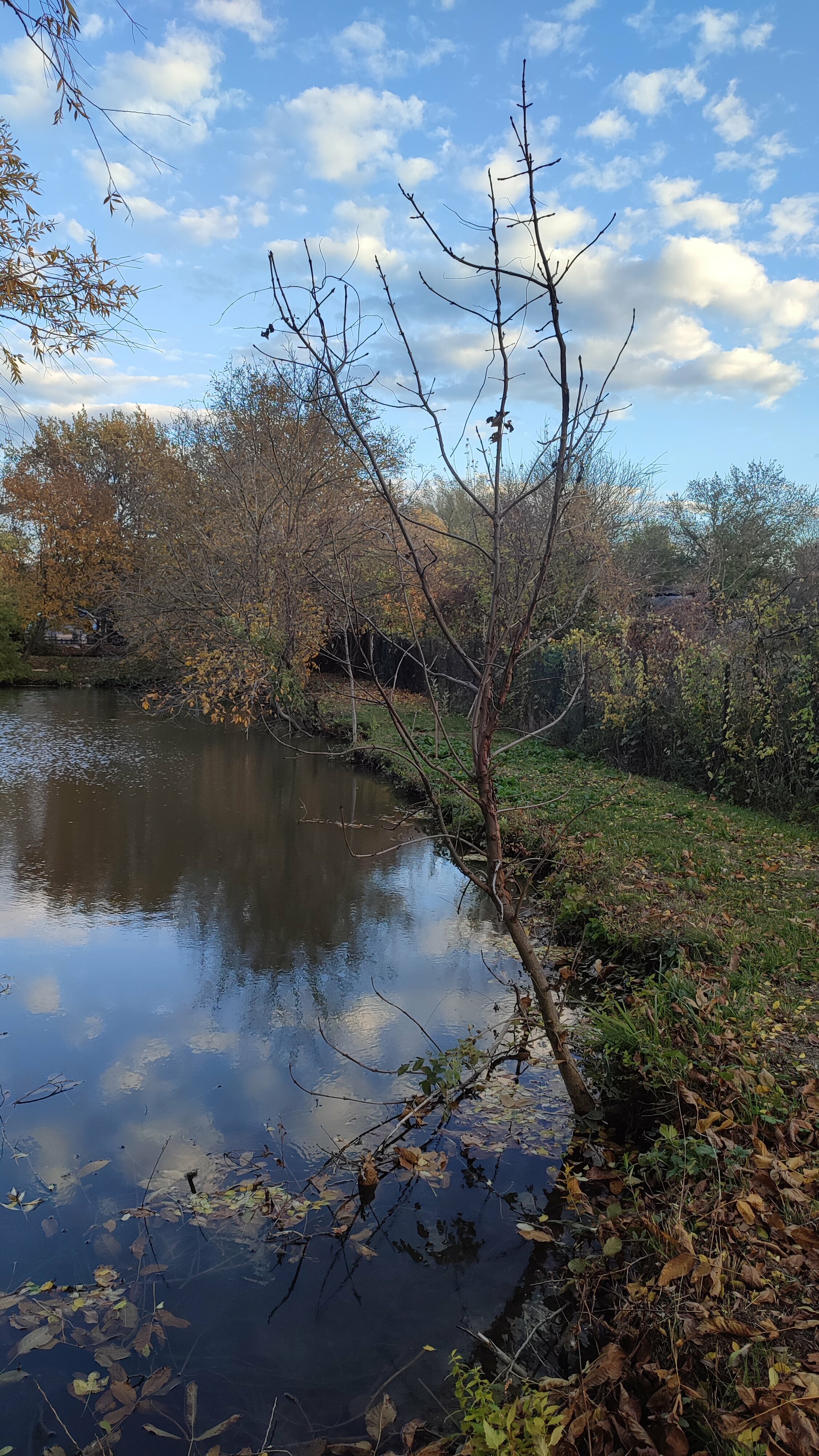 Классический четырехместный номер