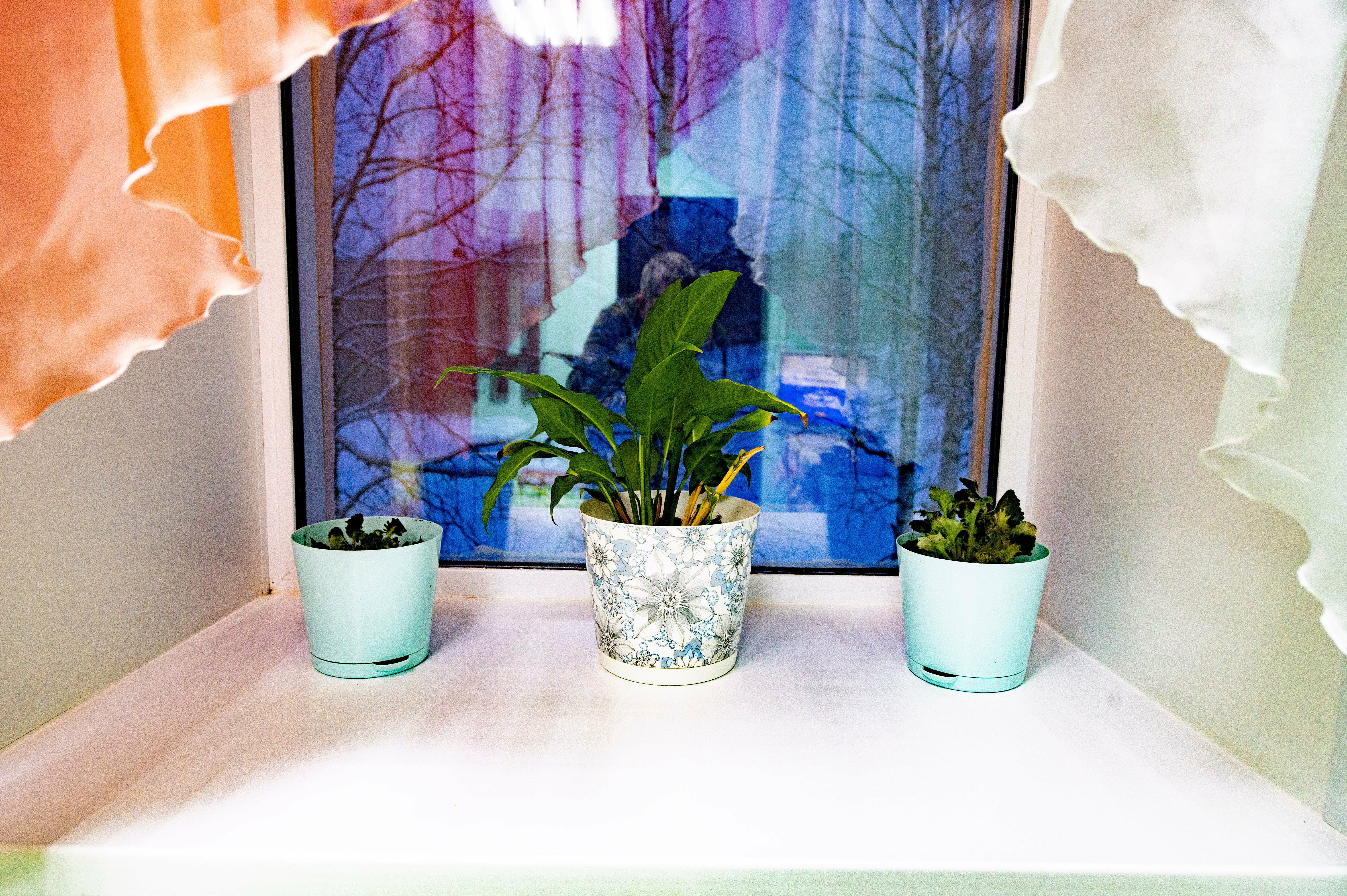 Трехместный номер