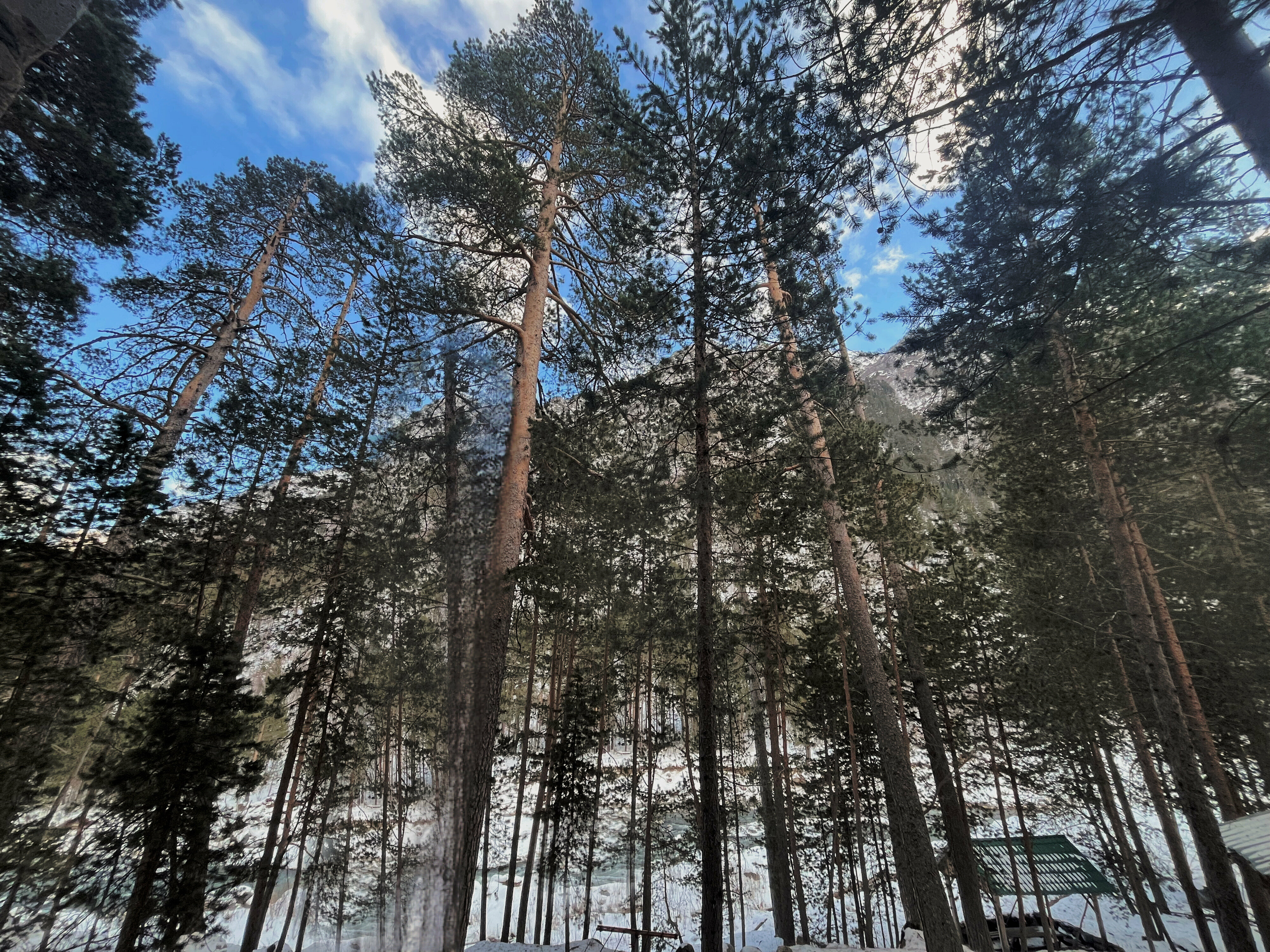 Двухместный номер с 1 кроватью