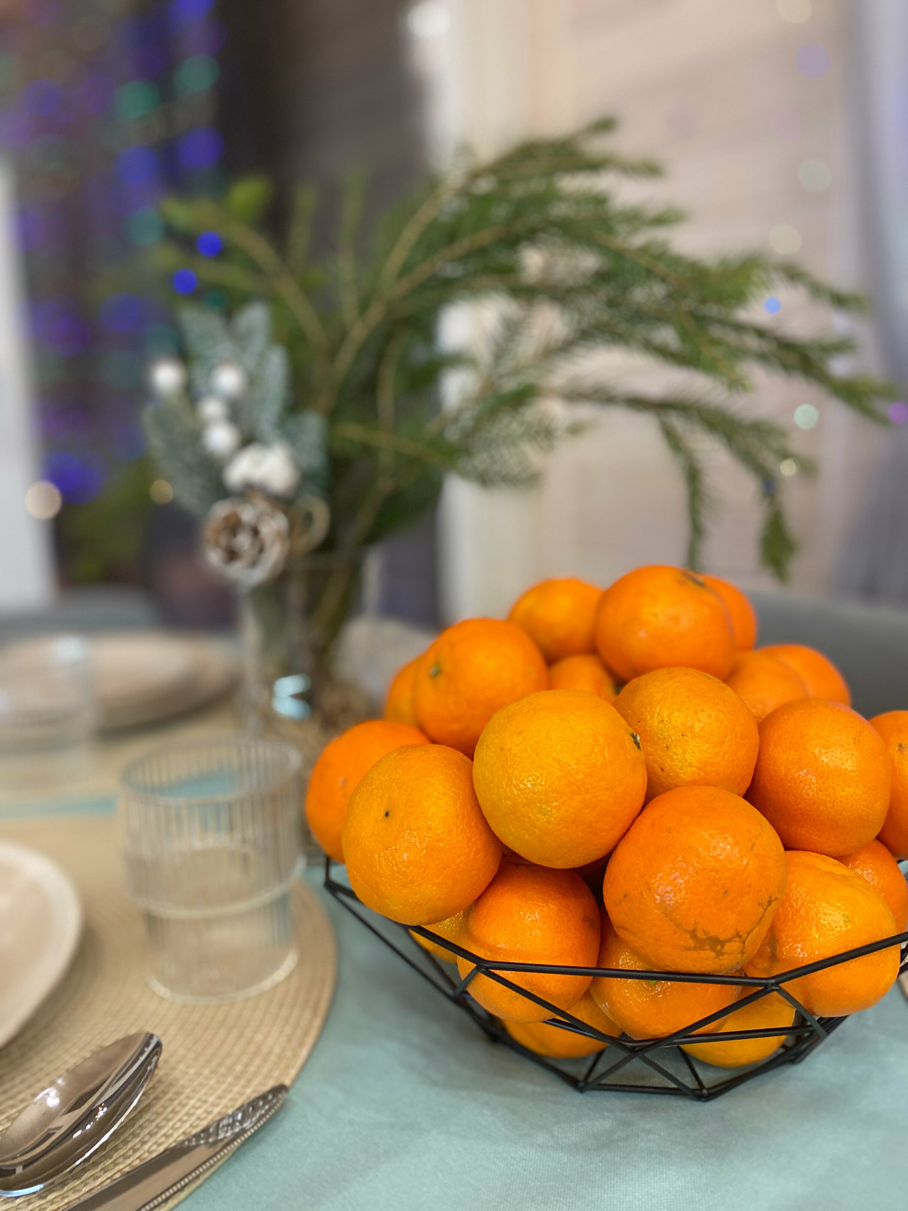 Дом с видом на лес