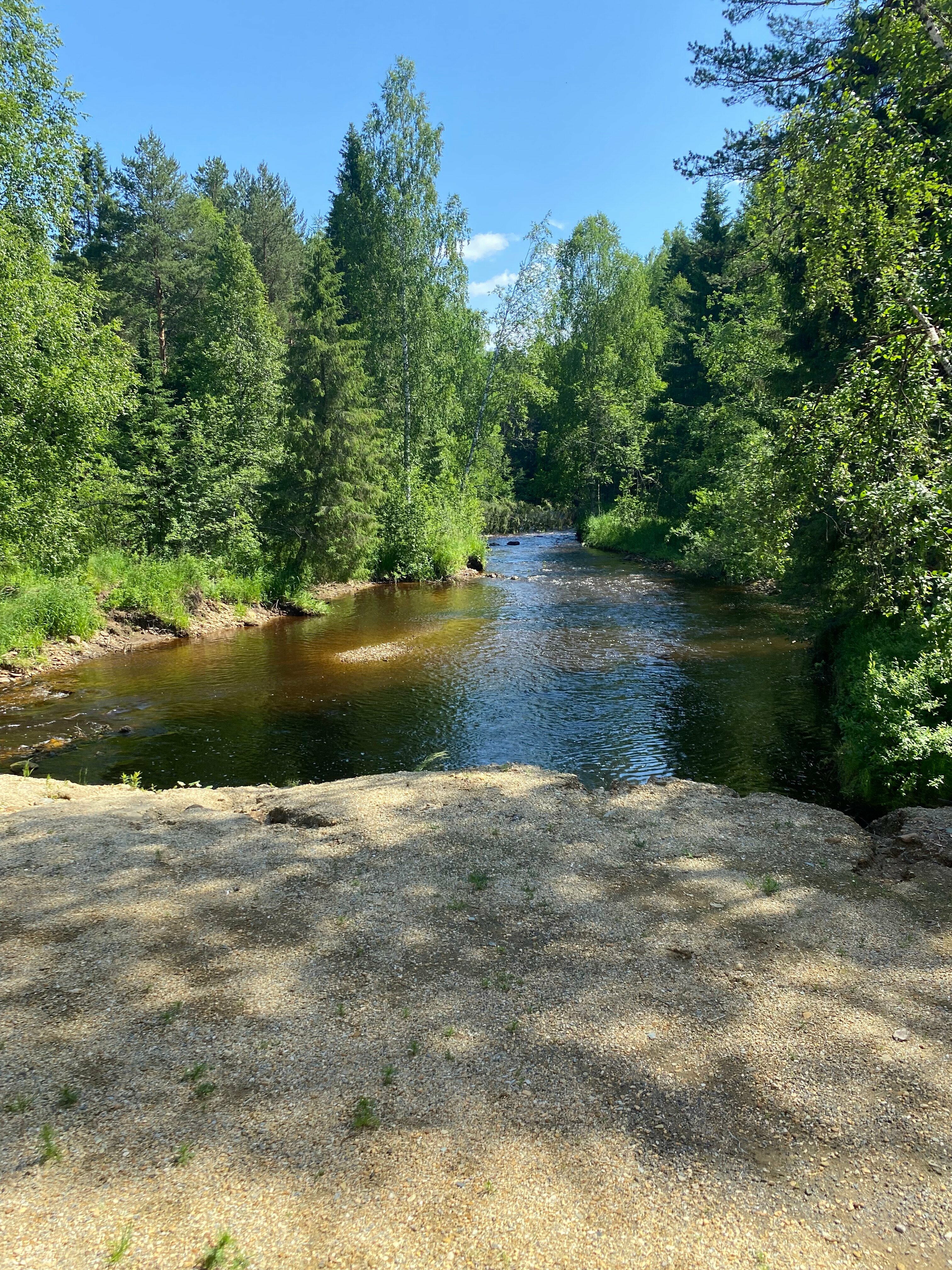 Дом с видом на лес