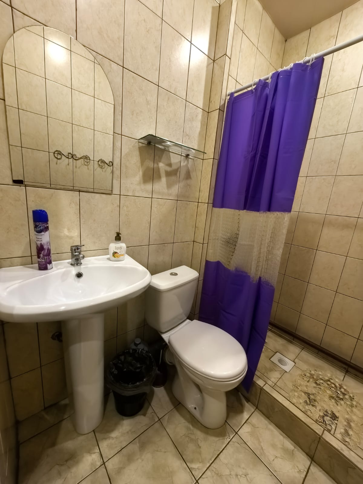 Двухместный номер с 2 отдельными кроватями и душем