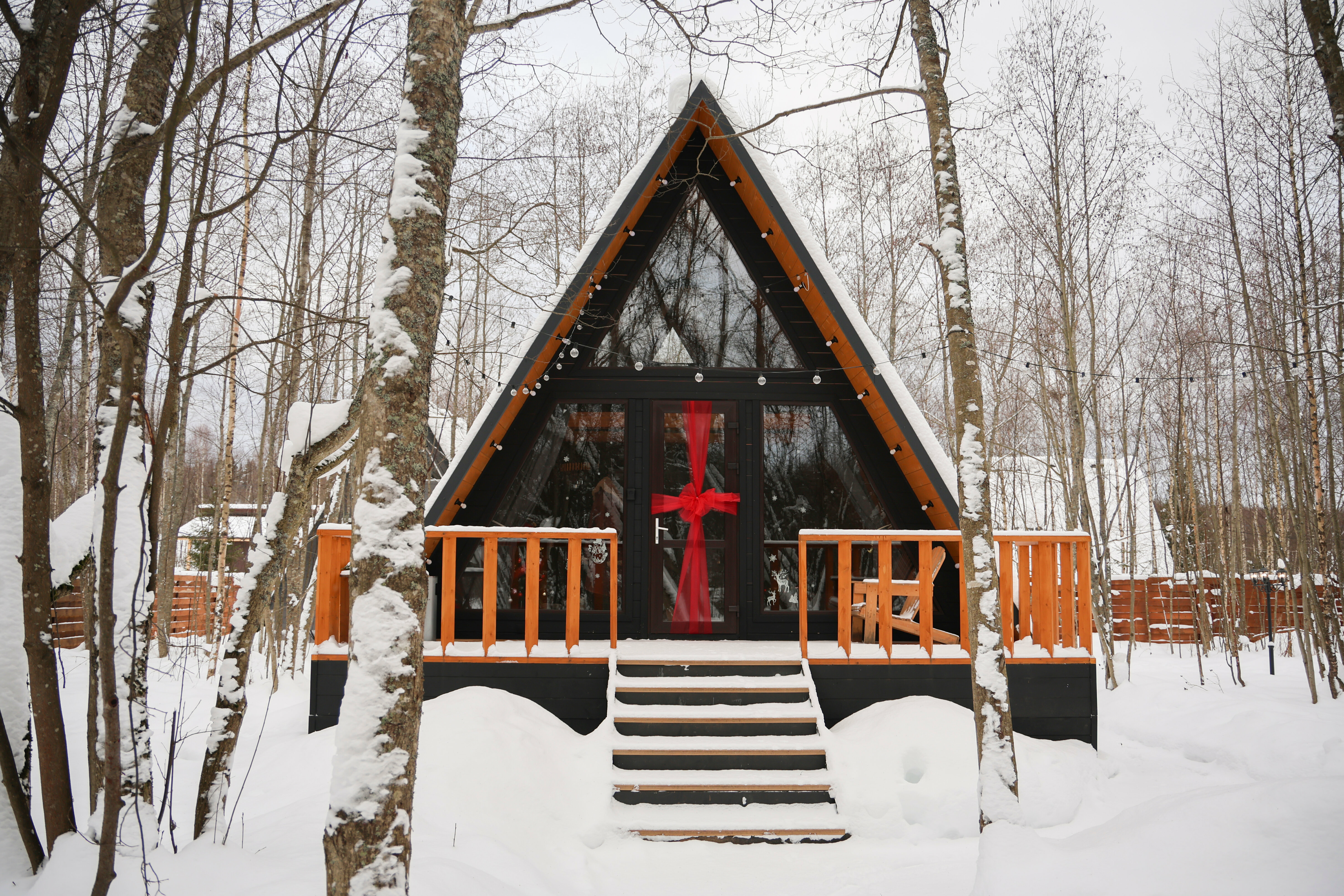 Дом с видом на лес