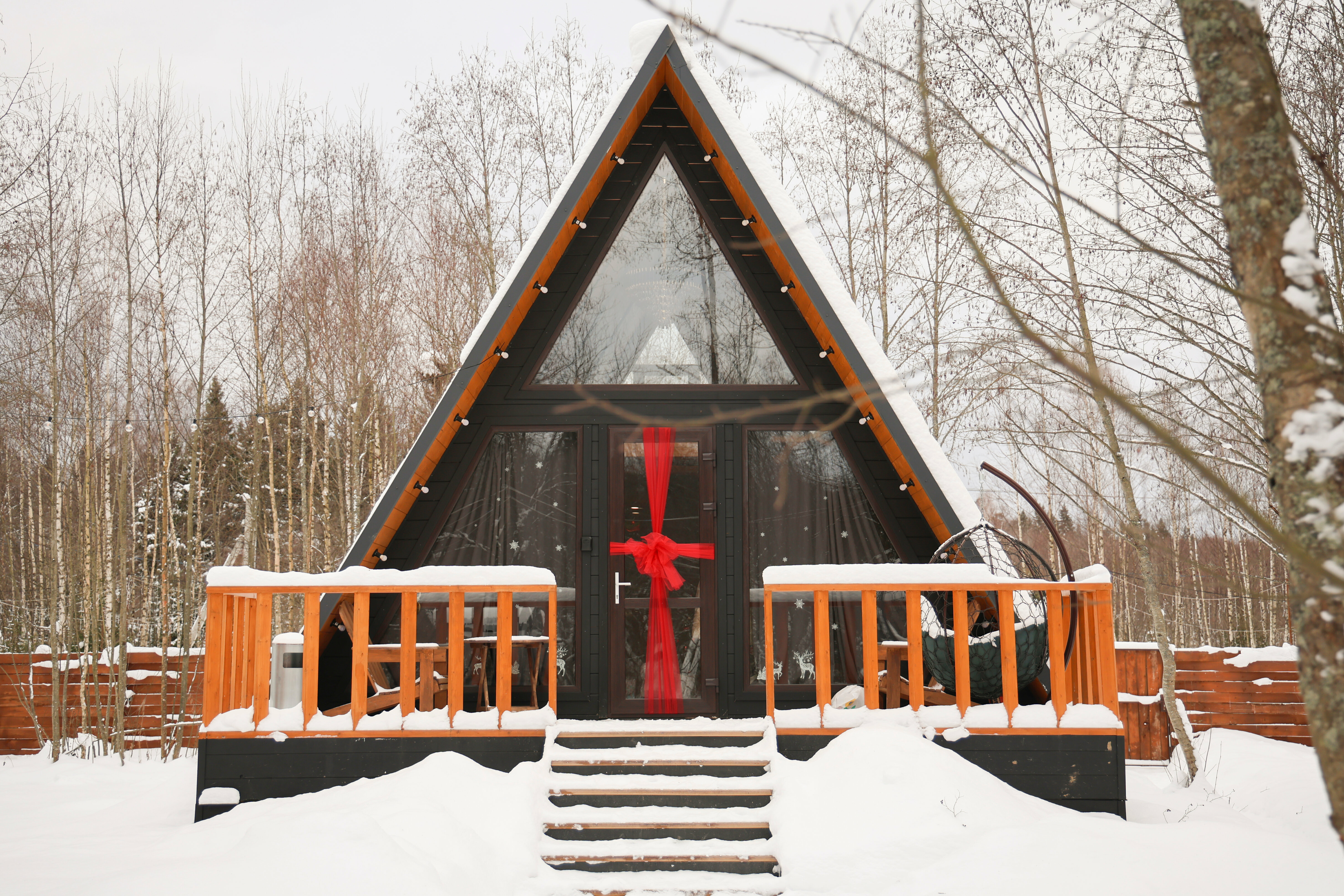 Дом с видом на лес