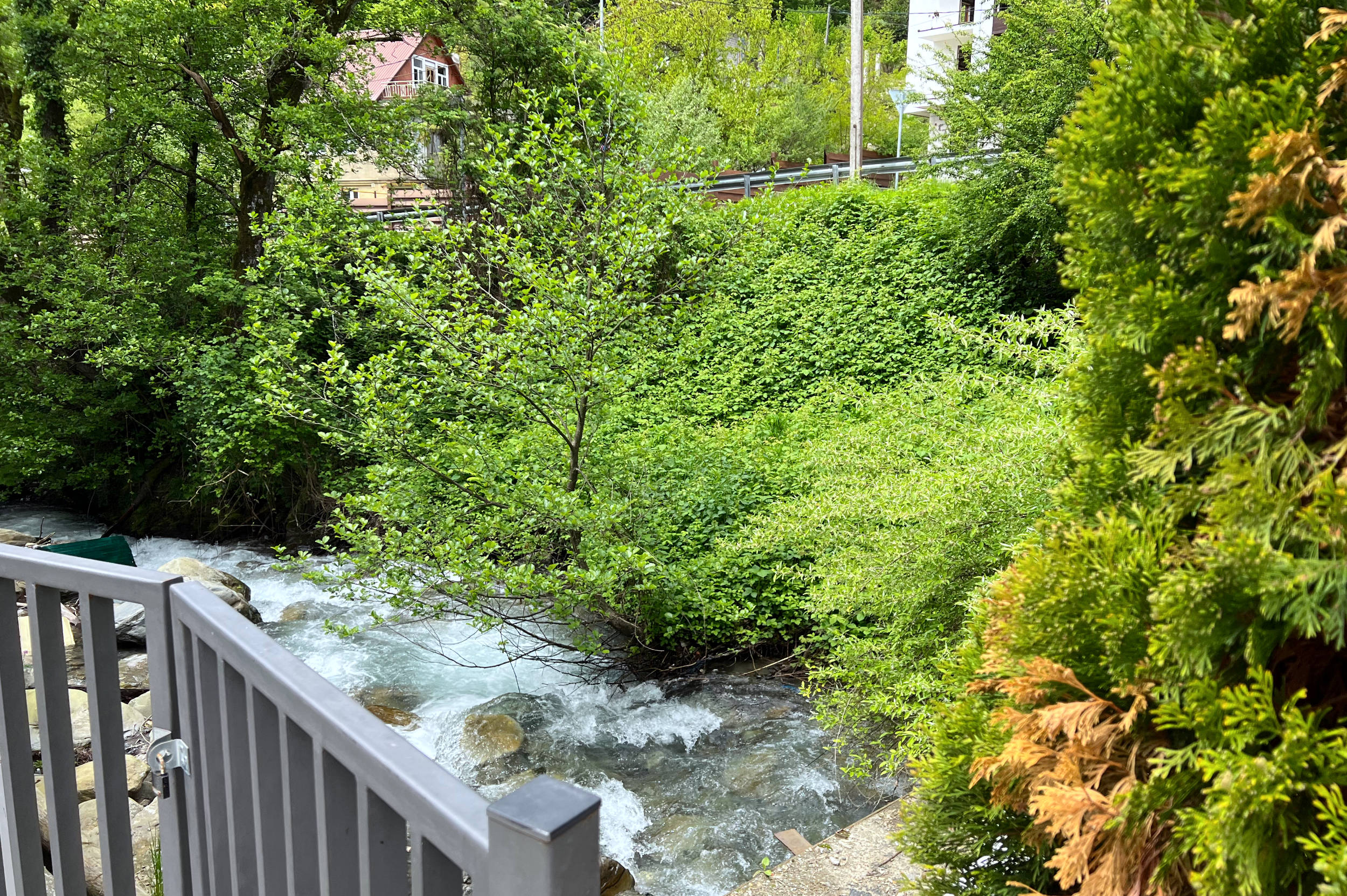 Стандарт | вид на горы и реку