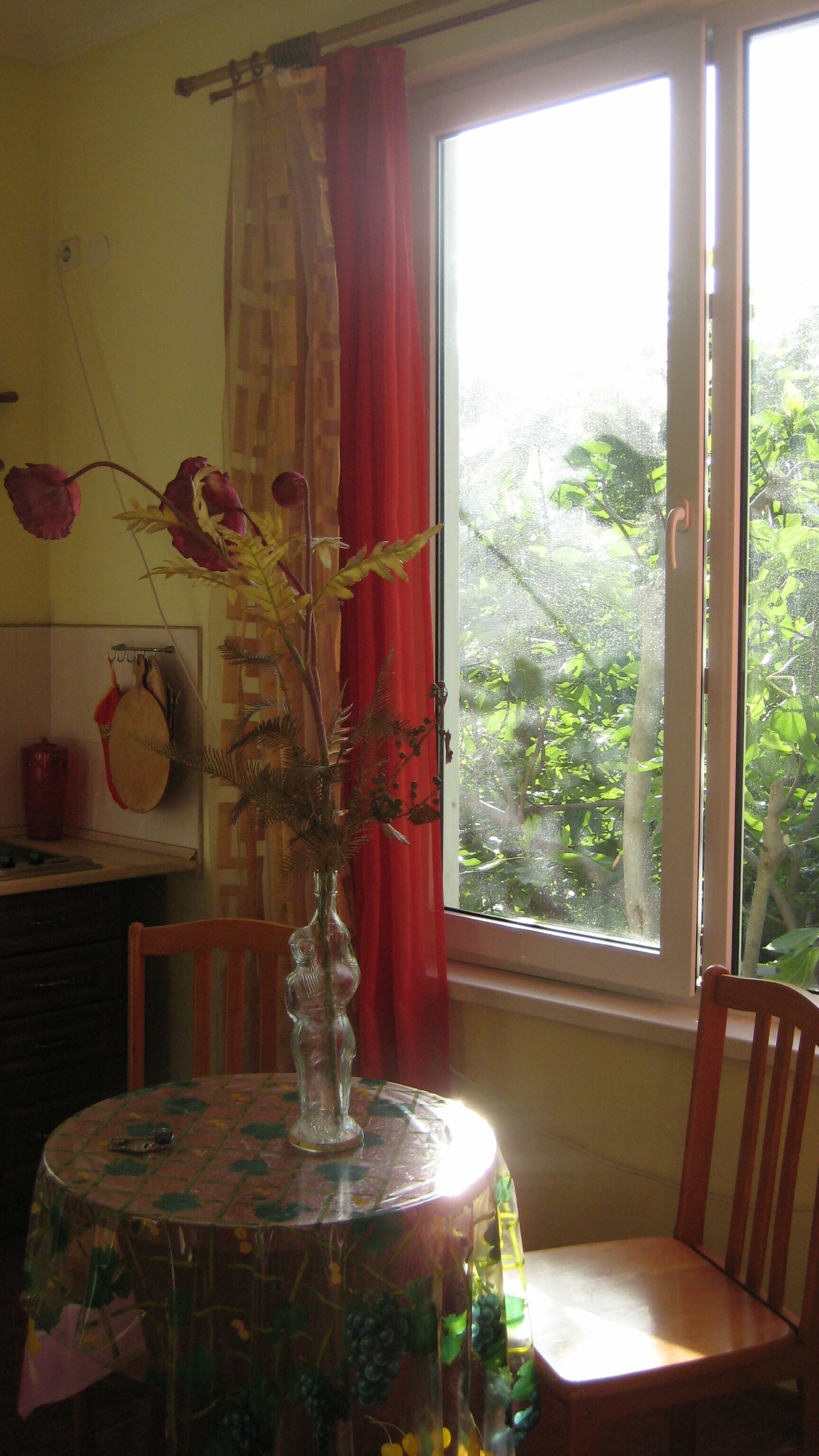 Двухместный номер с 1 кроватью и видом на парк