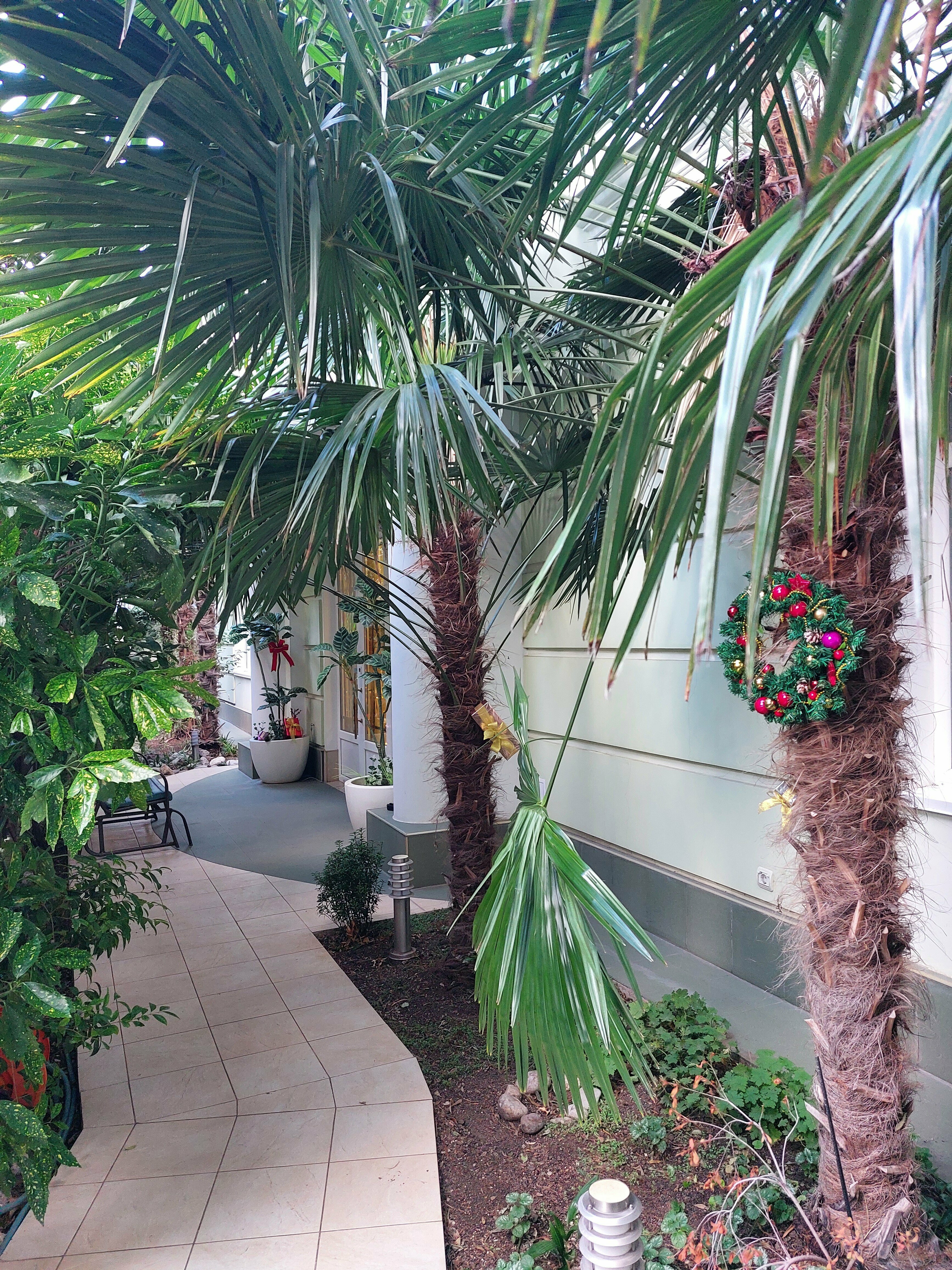 Апартаменты с видом на сад