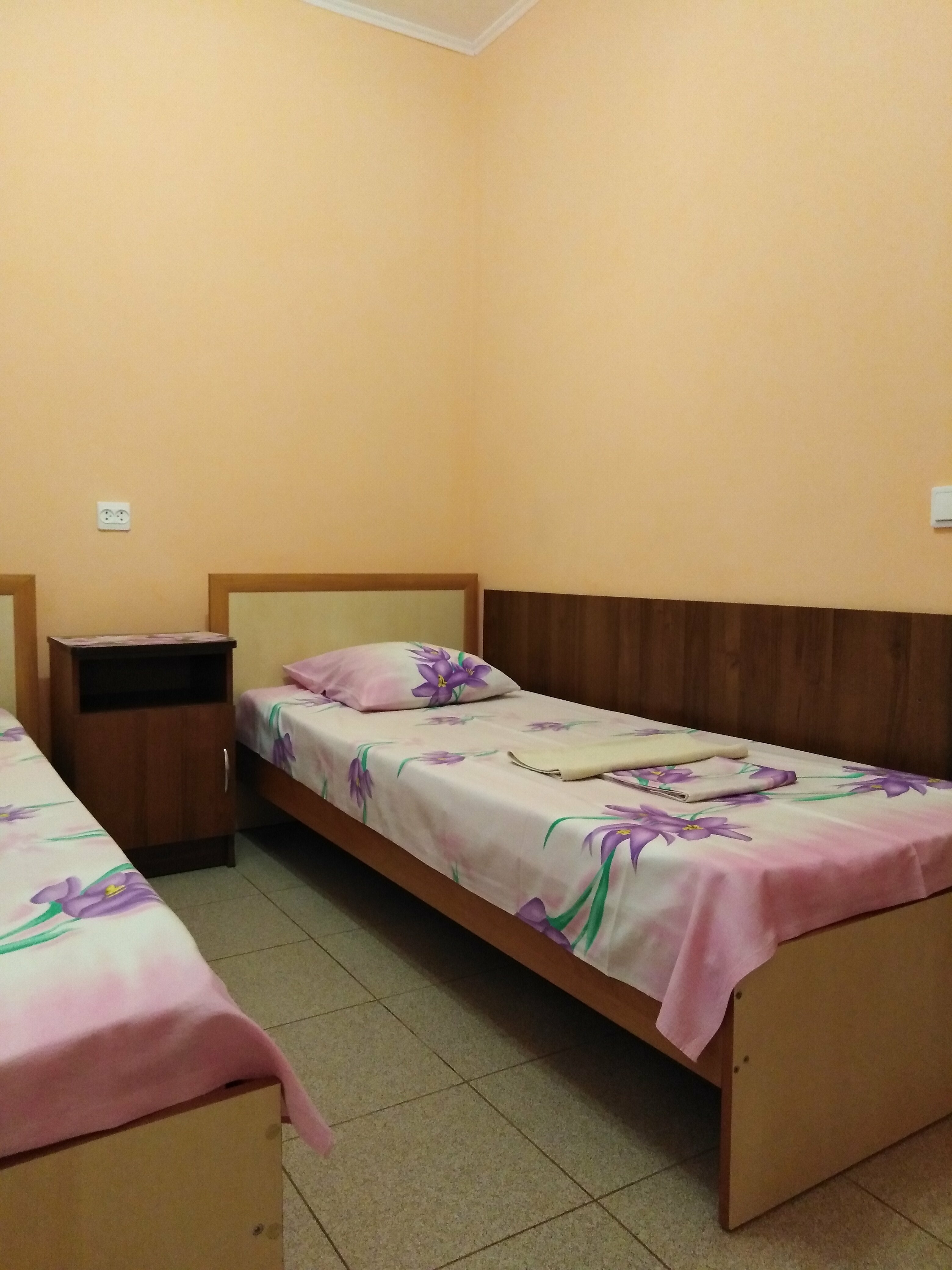 Двухместный номер с 1 кроватью или 2 отдельными кроватями