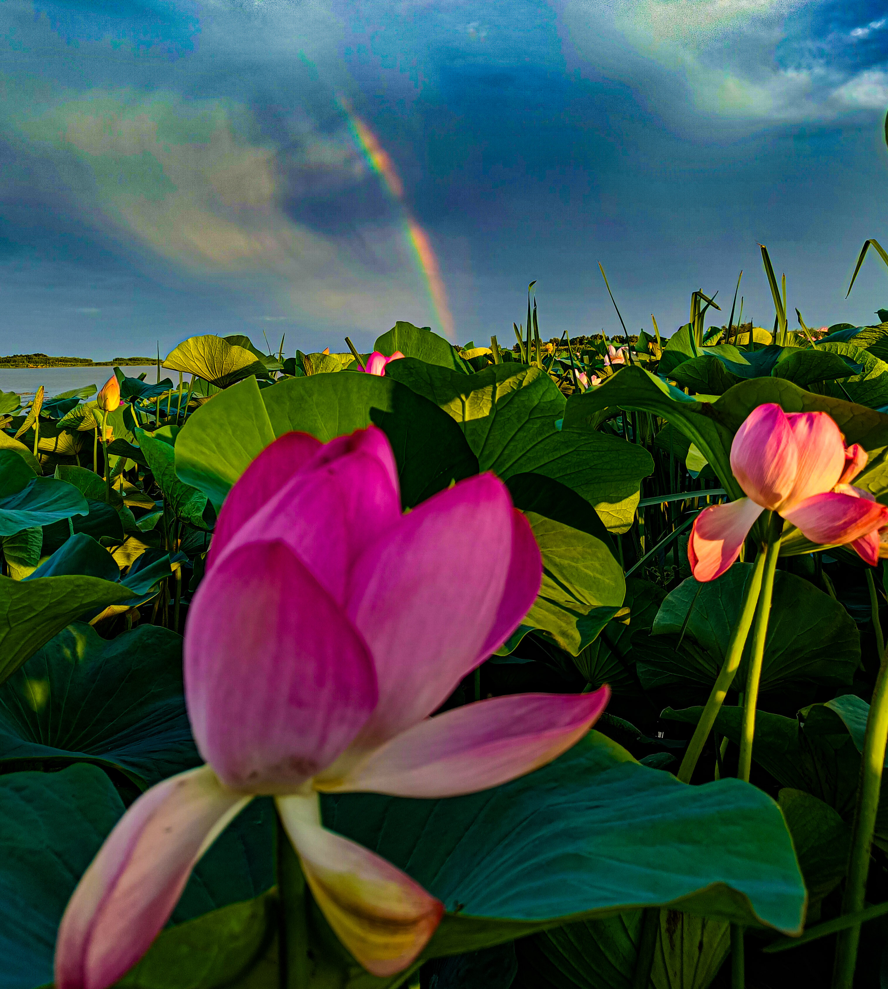 Дом – Рядом с пляжем