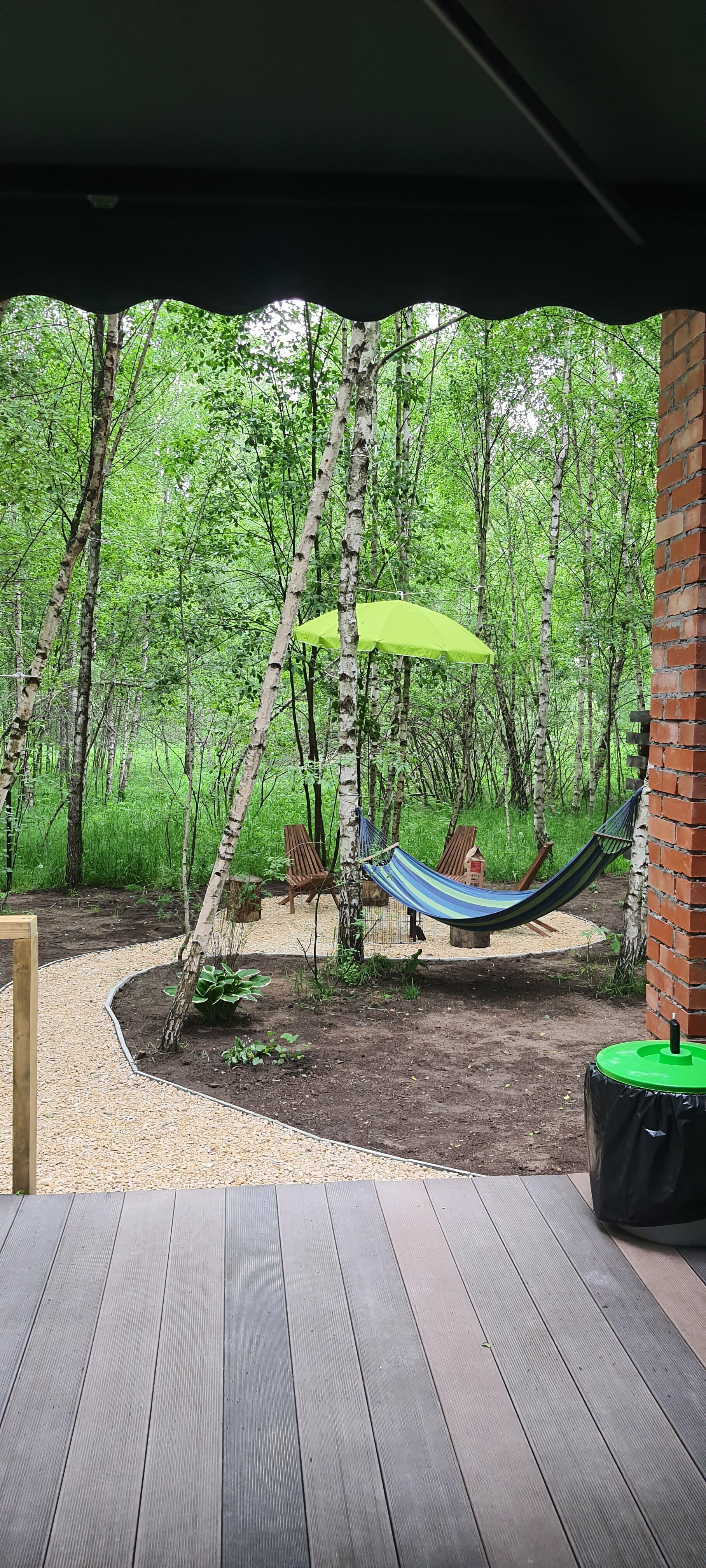 Дом с видом на лес