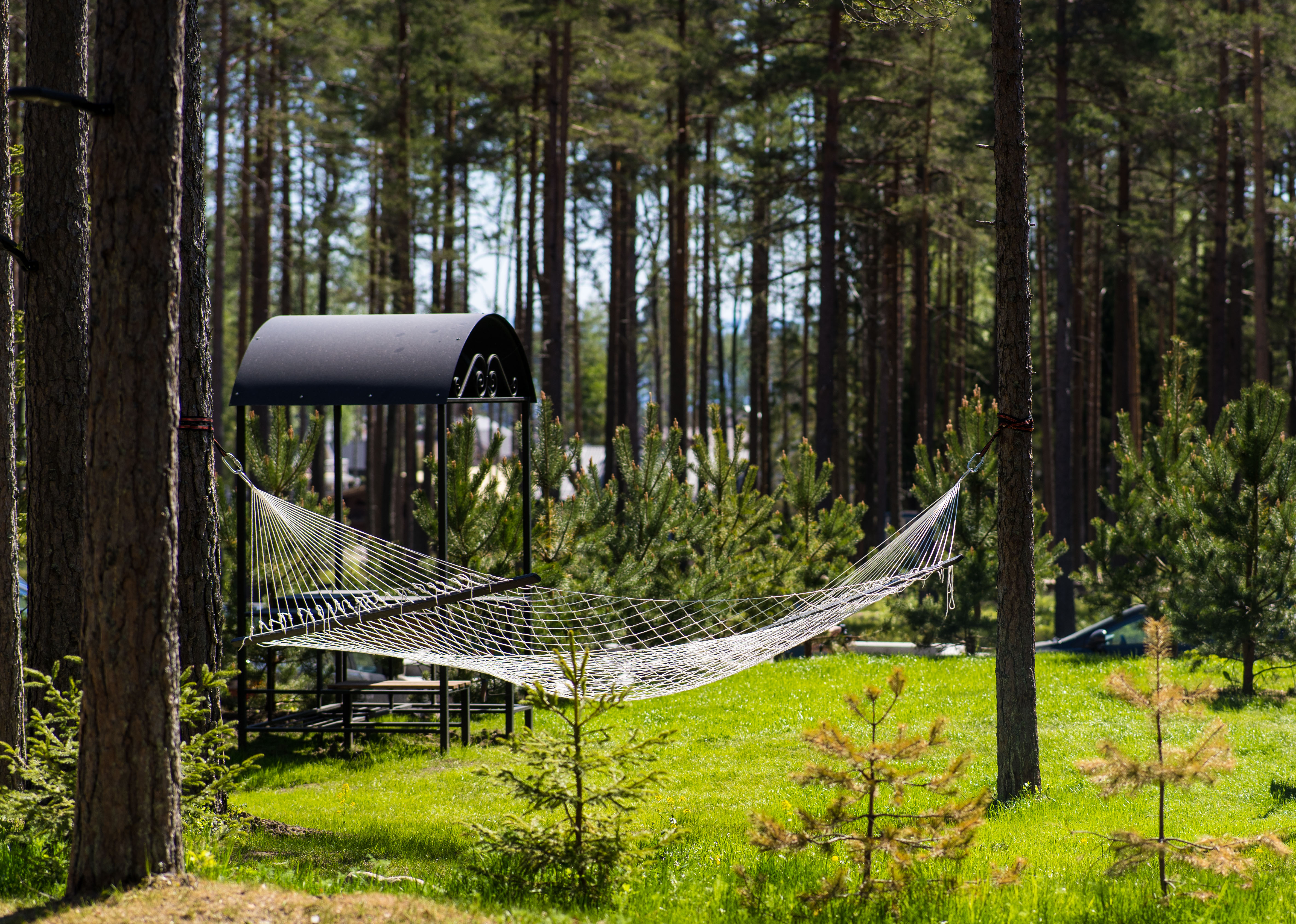 Коттедж с собственным бассейном