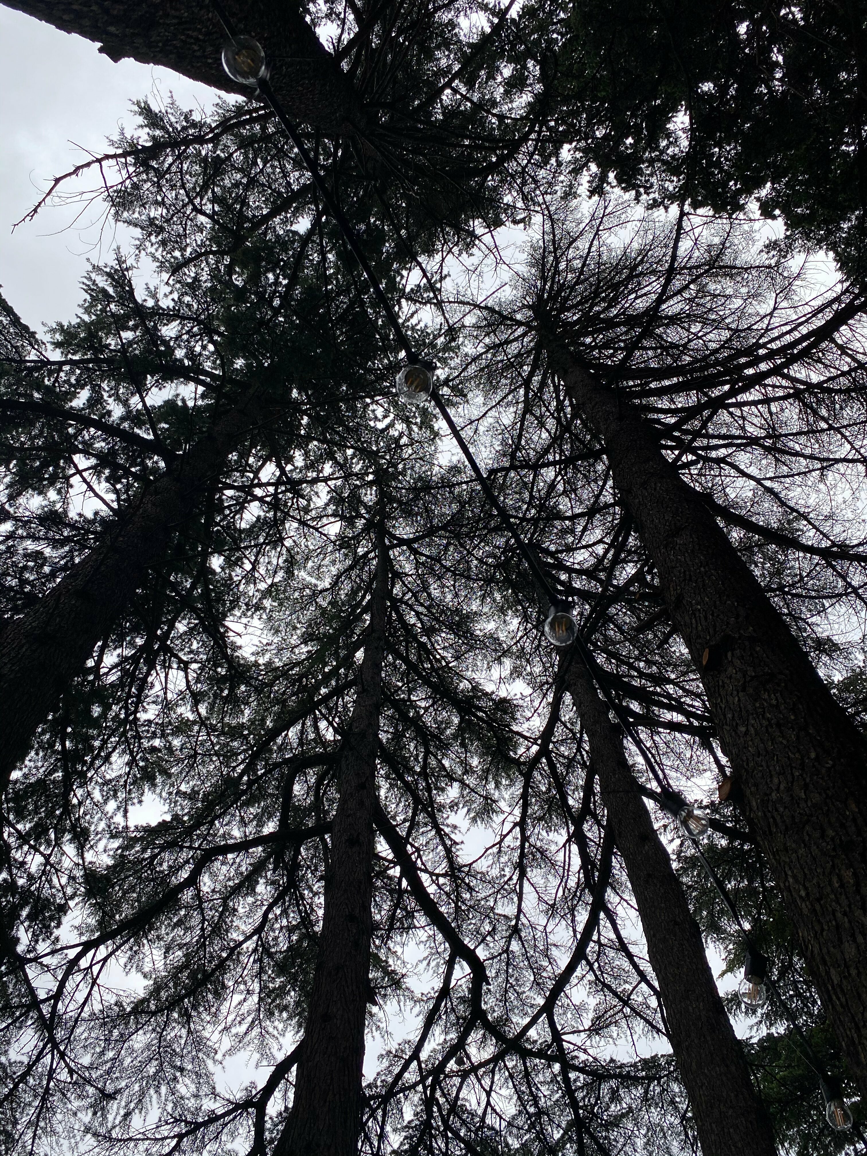 Дом для семейного отдыха