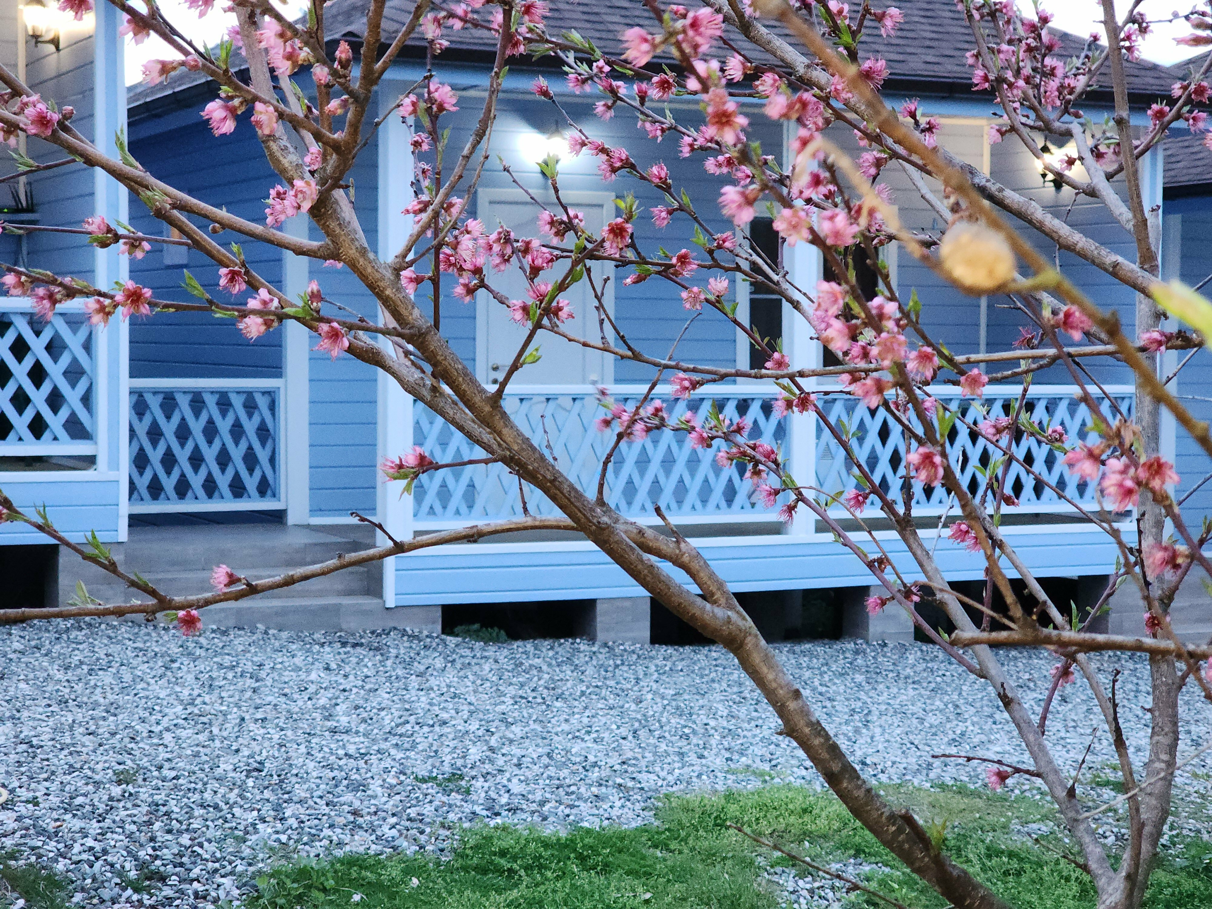 Трехместный номер "люкс"