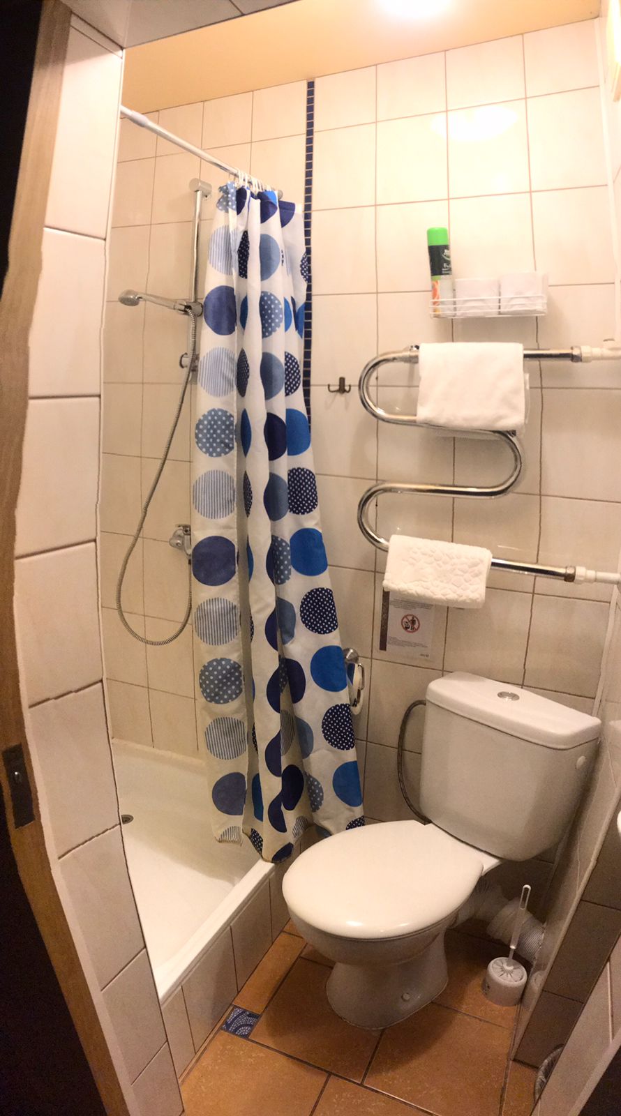 Двухместный номер с 1 кроватью или 2 отдельными кроватями