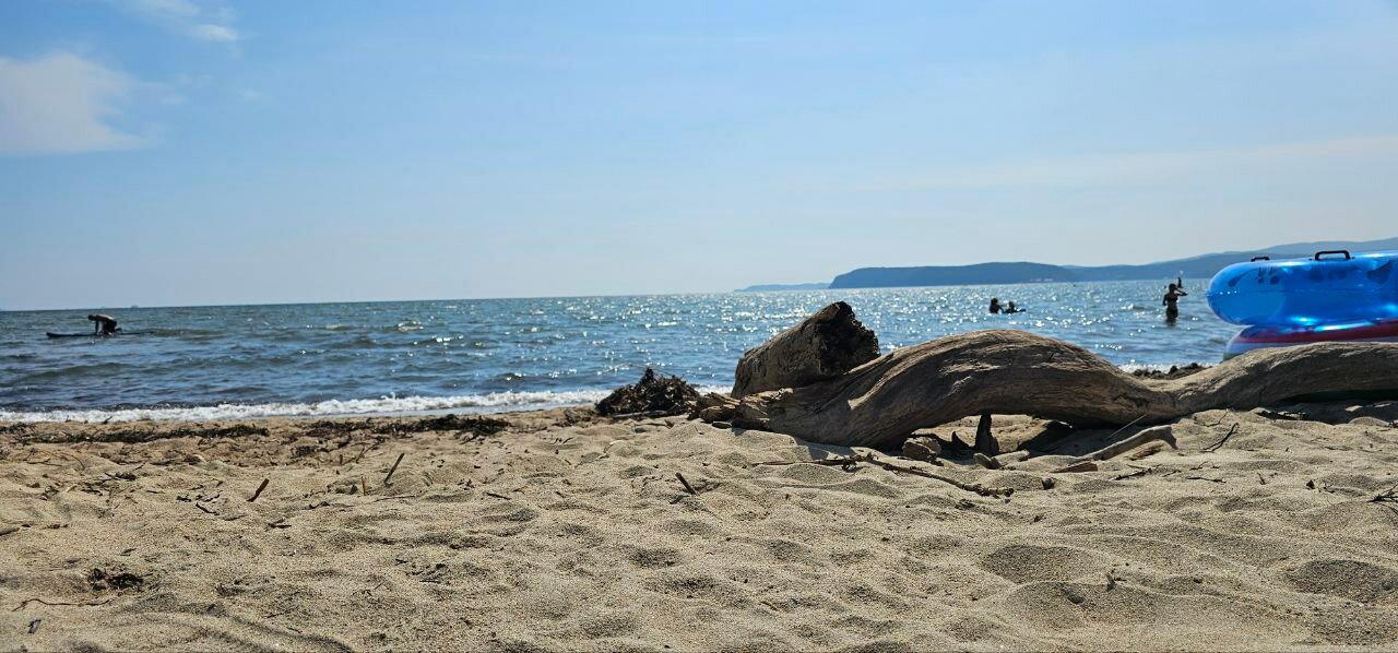 Дом с видом на лес