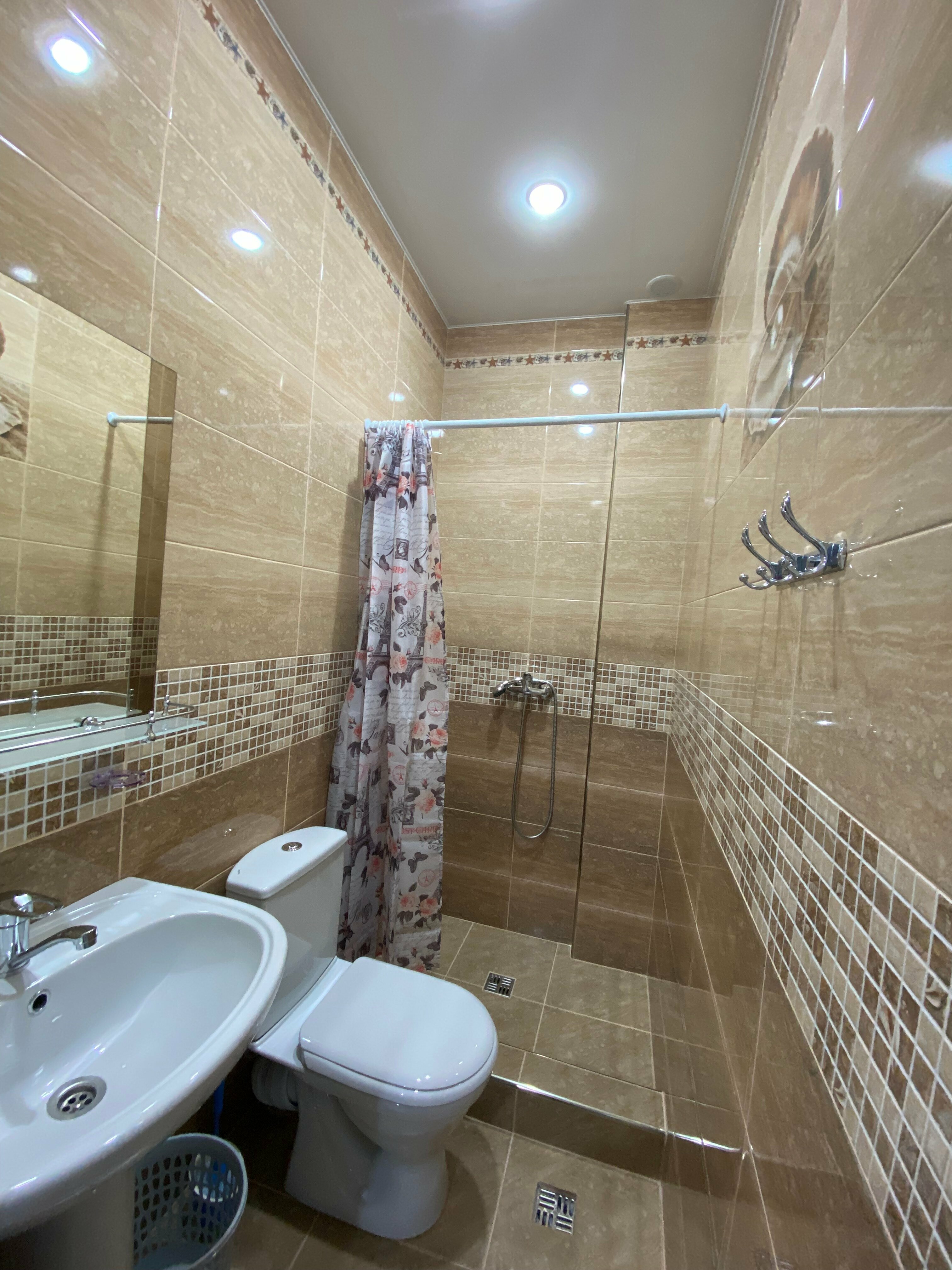 Двухместный номер Делюкс с 1 кроватью или 2 отдельными кроватями