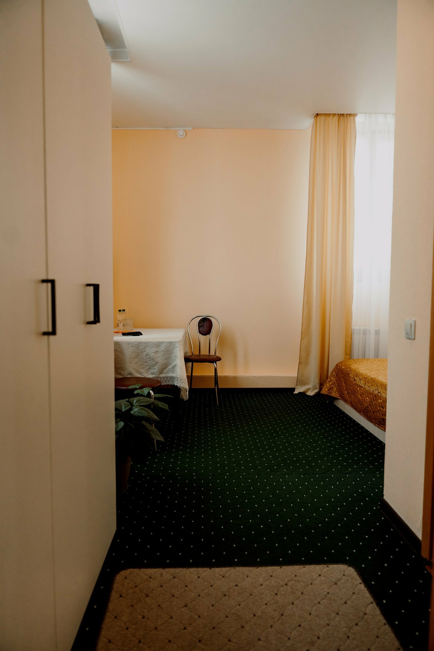 Двухместный номер Делюкс с 1 кроватью