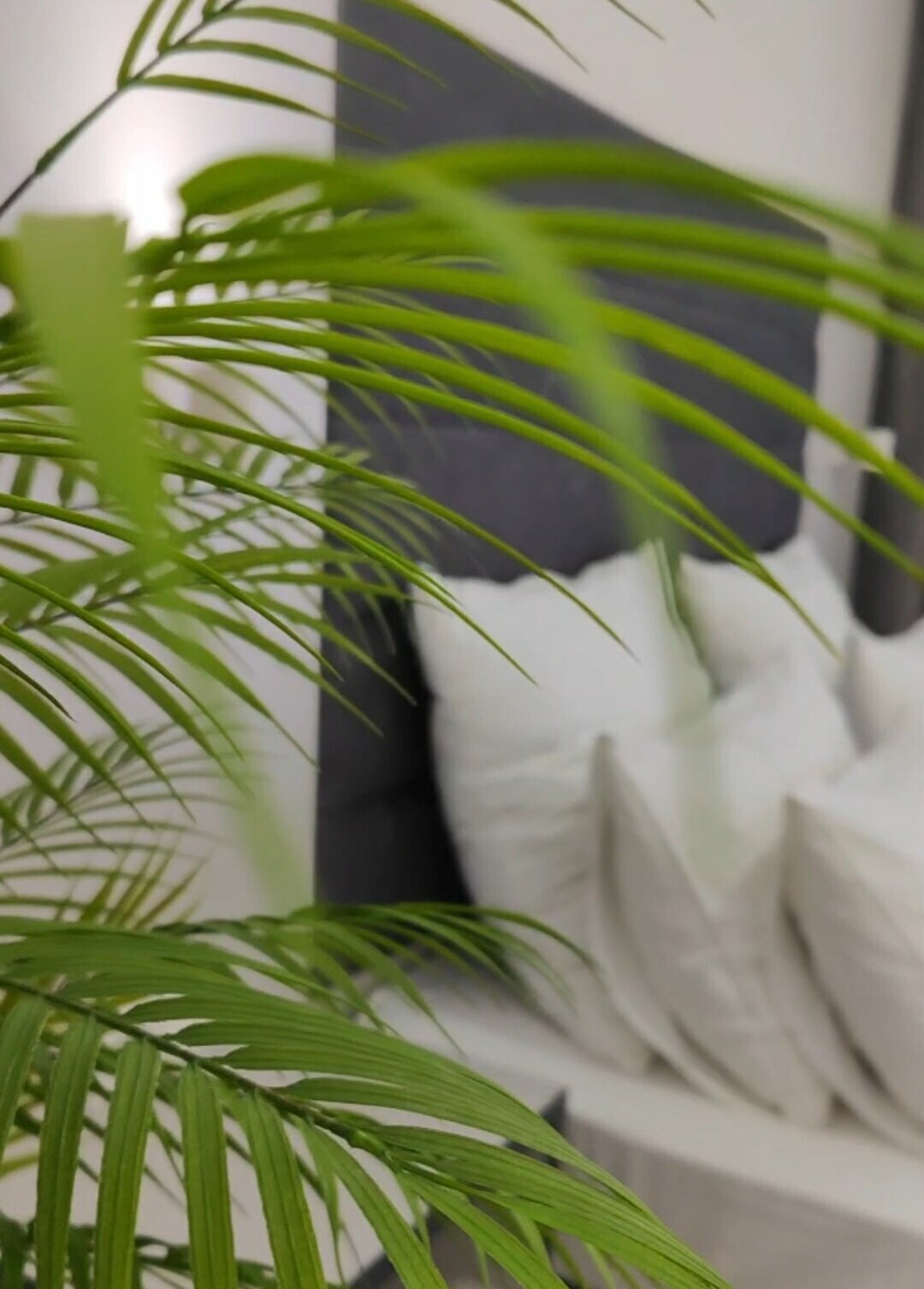 Люкс с 2 спальнями