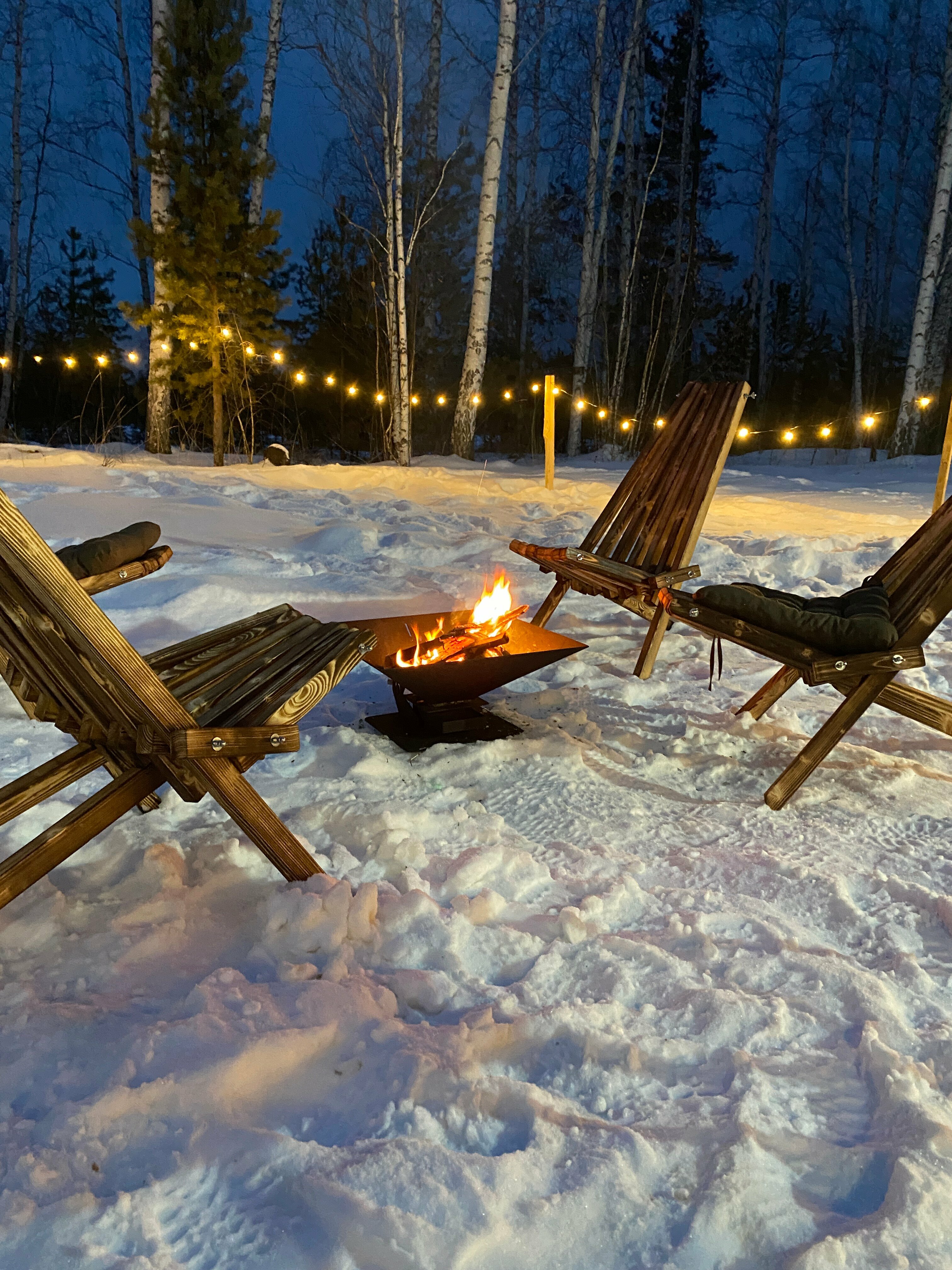 Дом с видом на лес