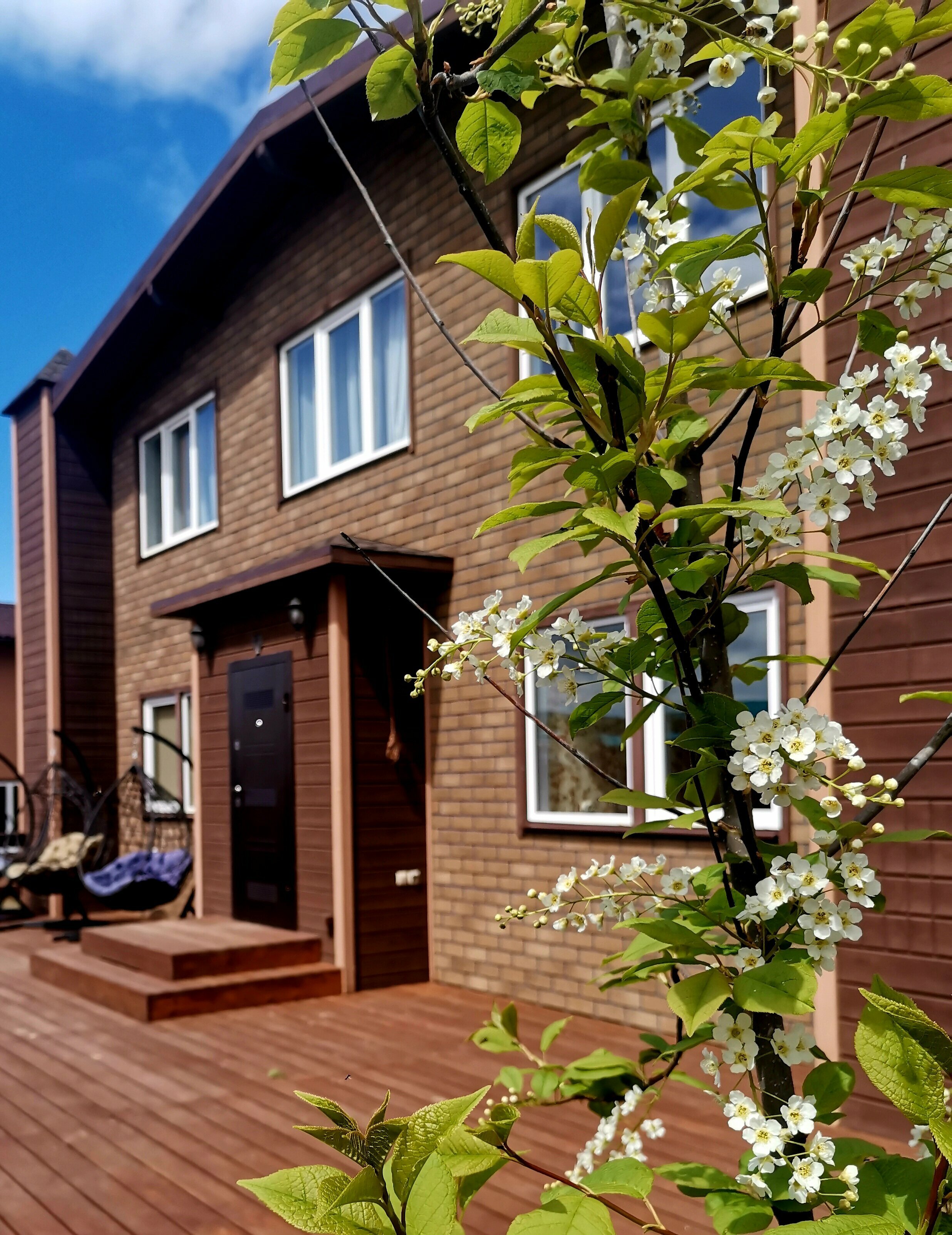 Двухместный номер с 2 отдельными кроватями