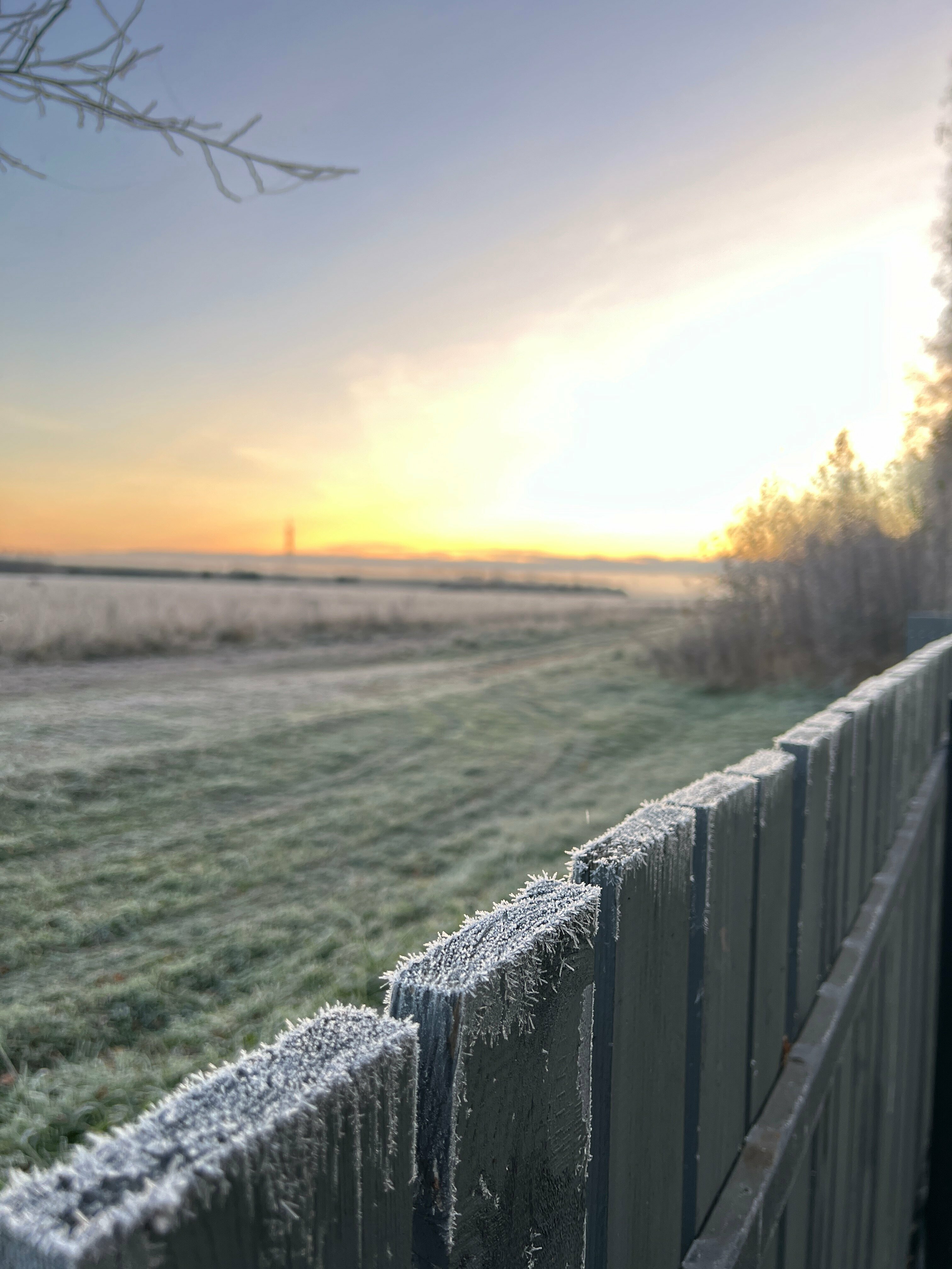 Коттедж с видом на лес