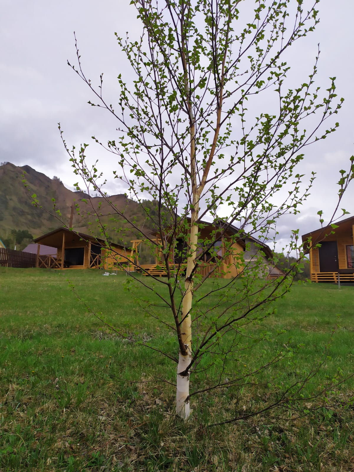 Большой двухместный номер с 1 кроватью