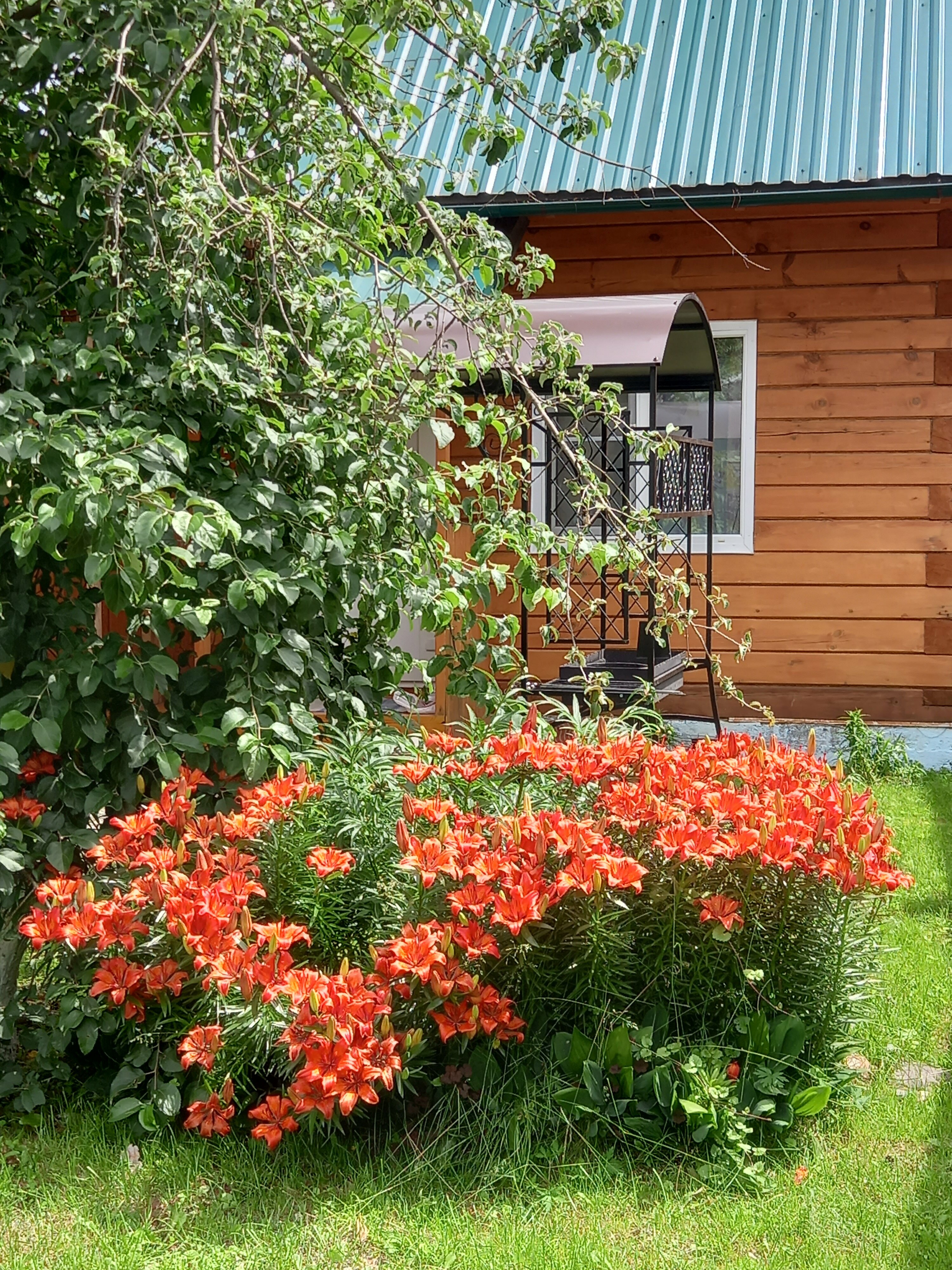 Стандартный семейный номер