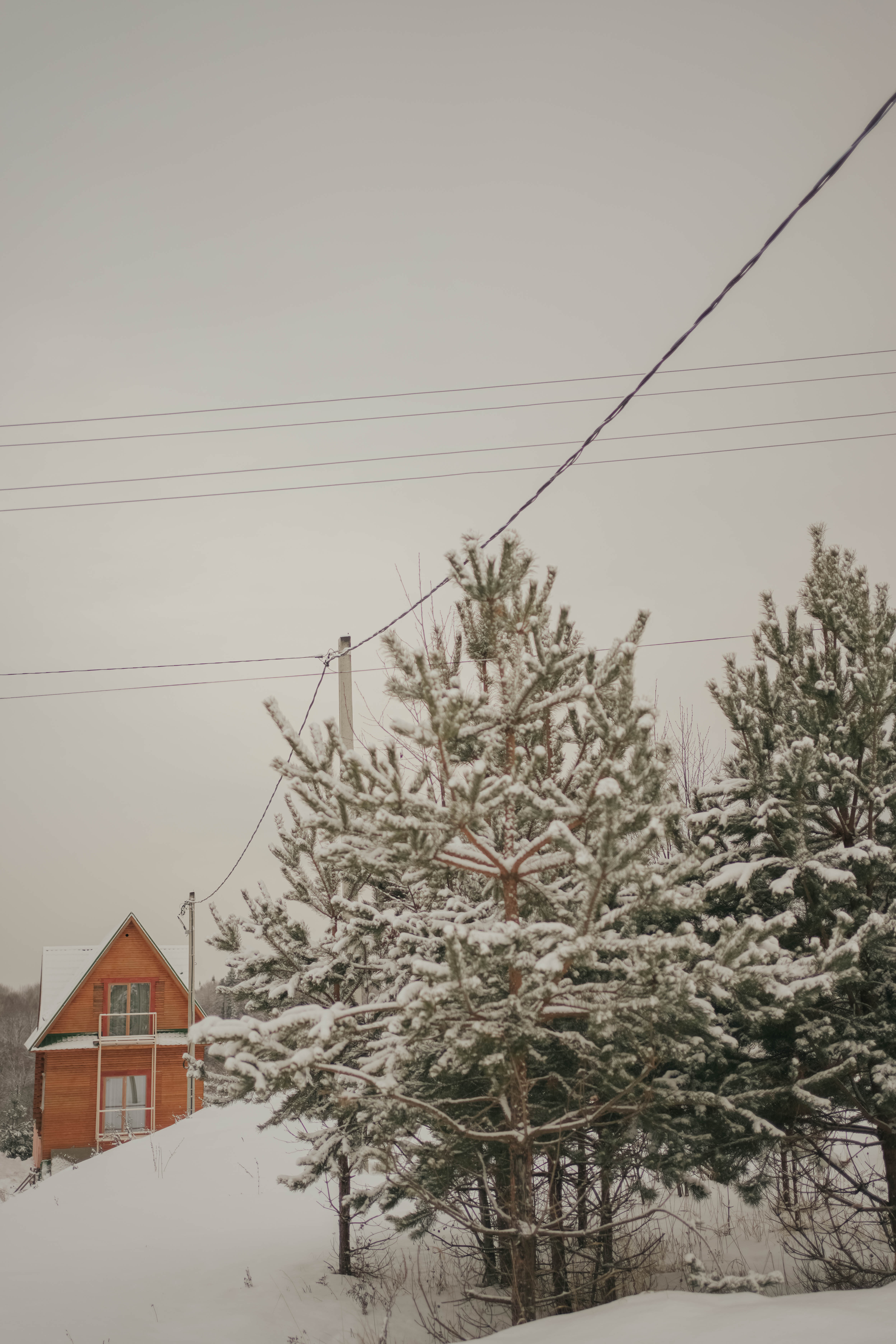 Семейный номер с душем