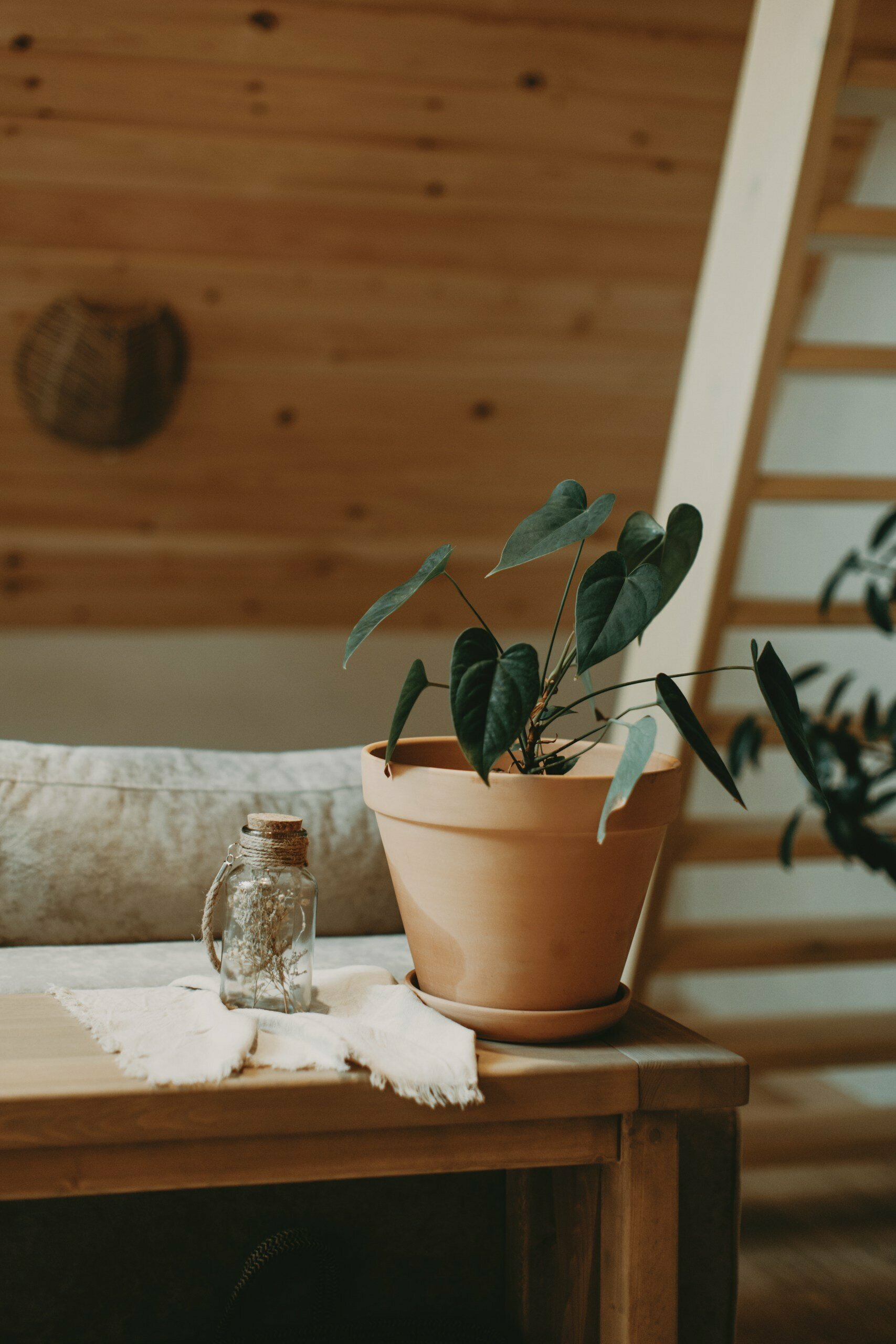 Лодж A-frame №1