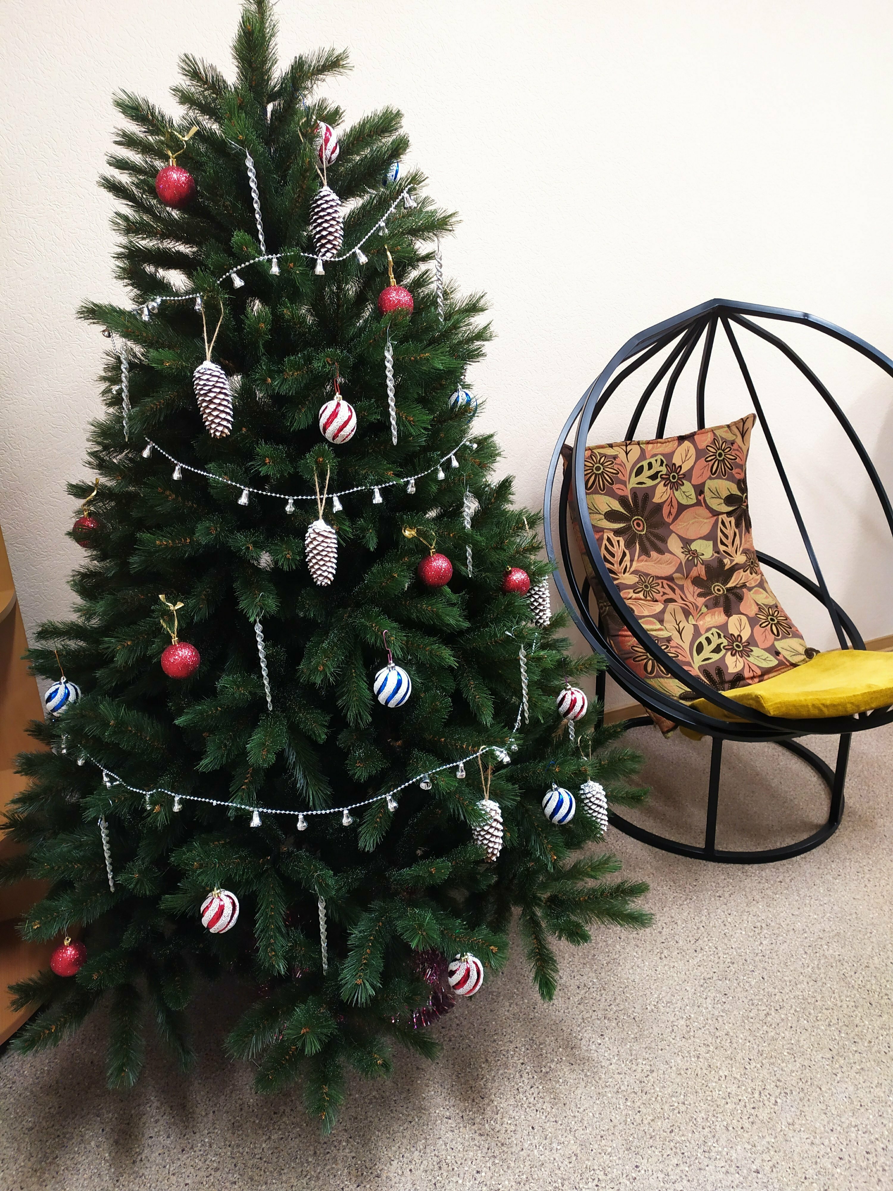 Общий 6-местный номер для мужчин и женщин