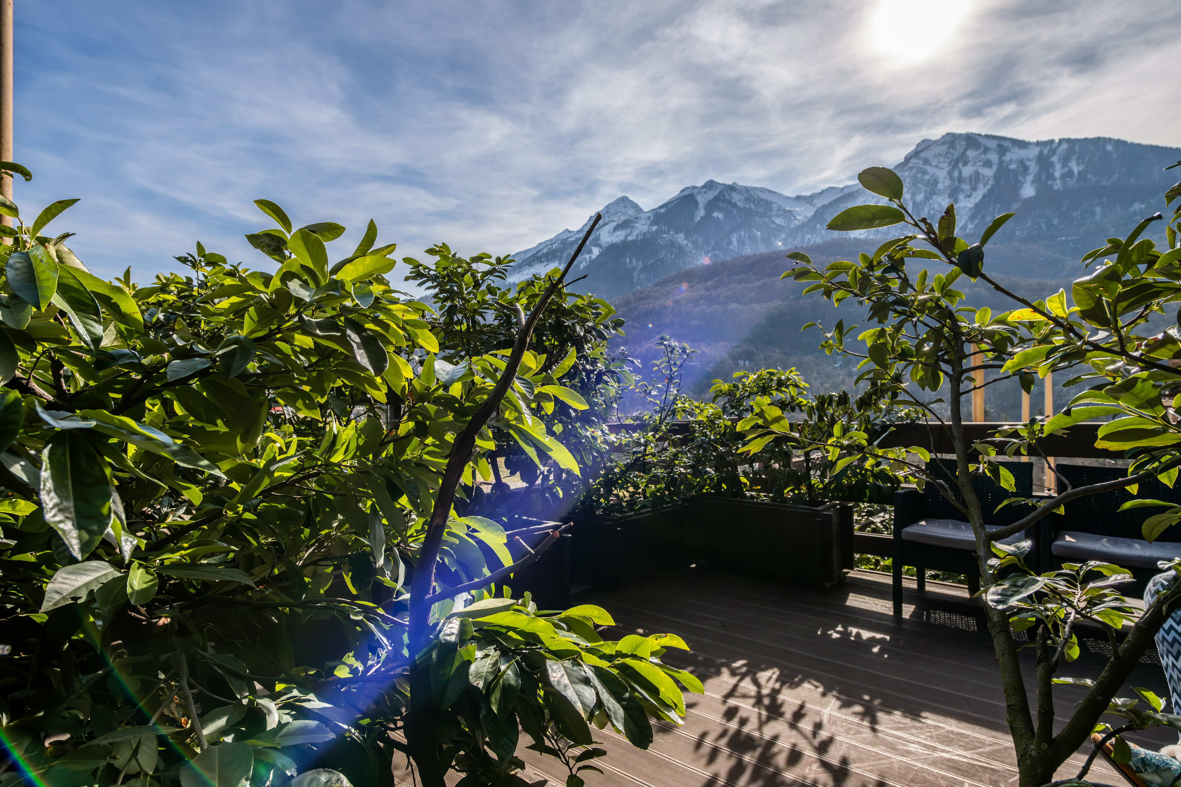 Делюкс  Уютный с выходом на террасу № 2