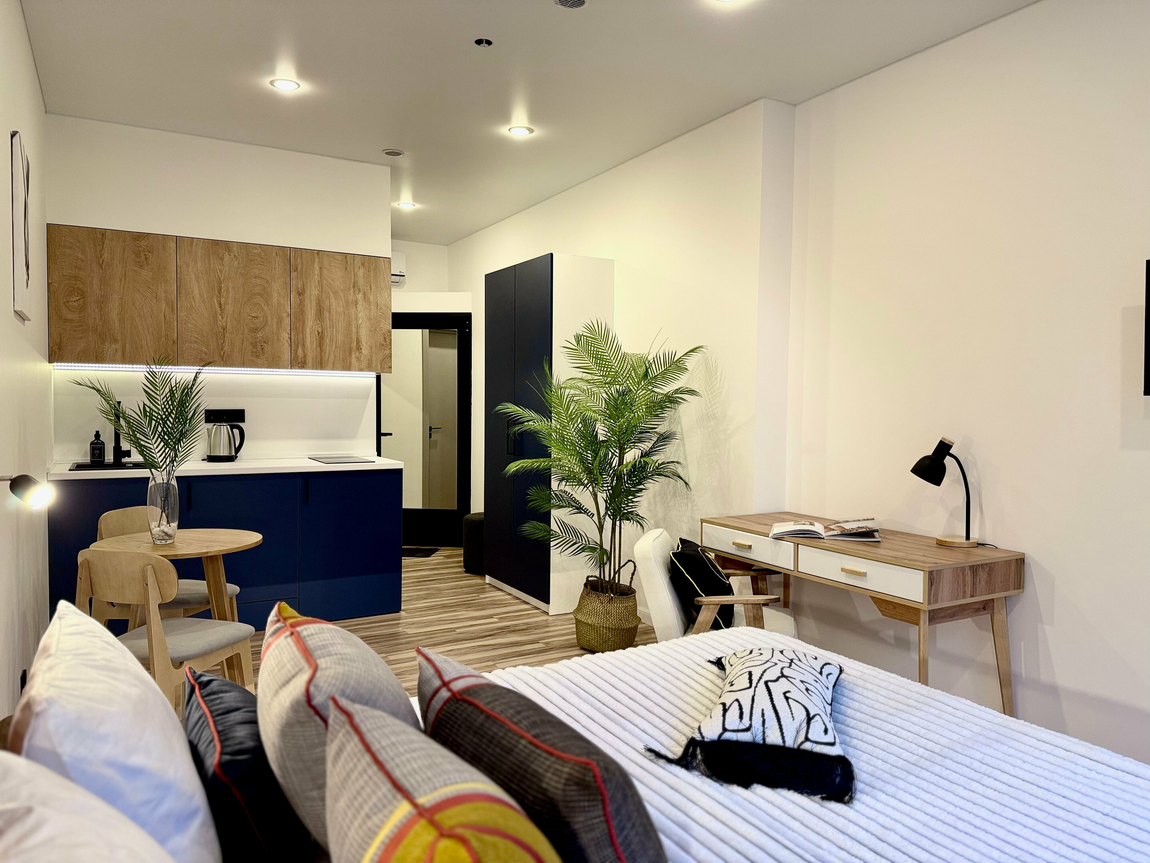 Двухместный номер с 1 кроватью